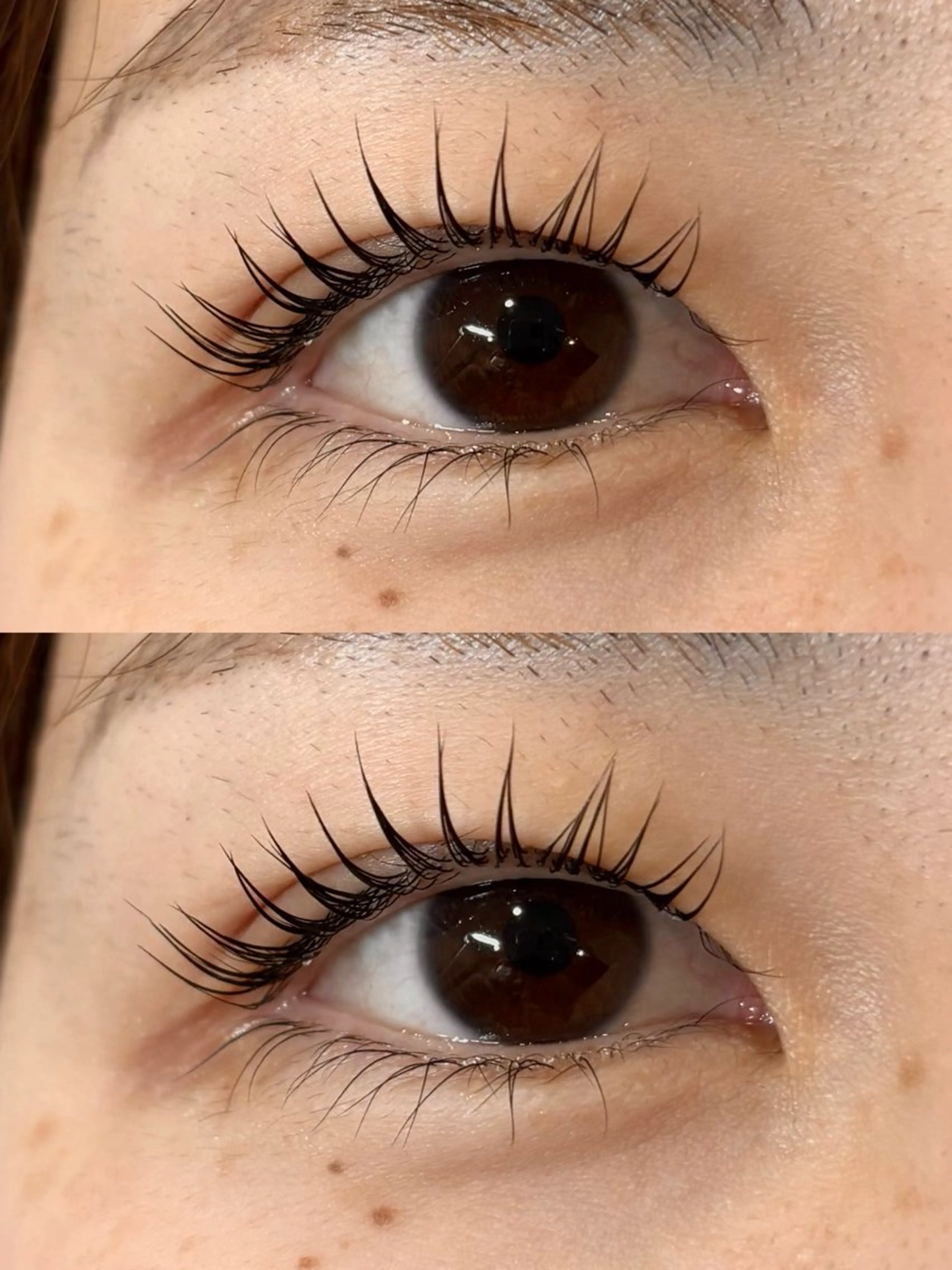 まつ毛パーマ上下🫧コーティング付🪽の写真