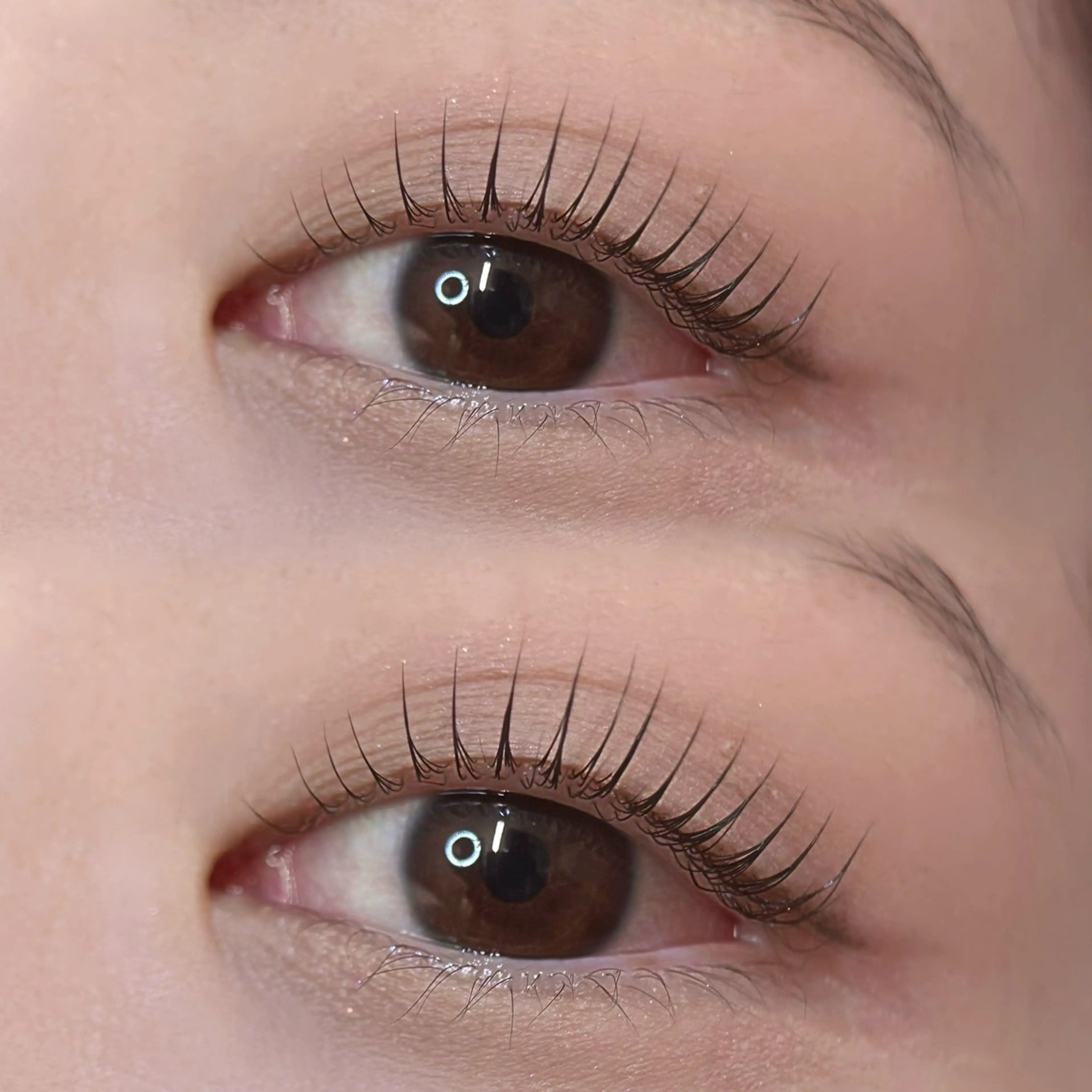 マツエク・マツパ 束感まつ毛 パリジェンヌラッシュリフト まつげパーマ 一重×まつ毛パーマ マツパ fein.Ruka ♡垢抜け美眉のマツエク・マツパデザイン