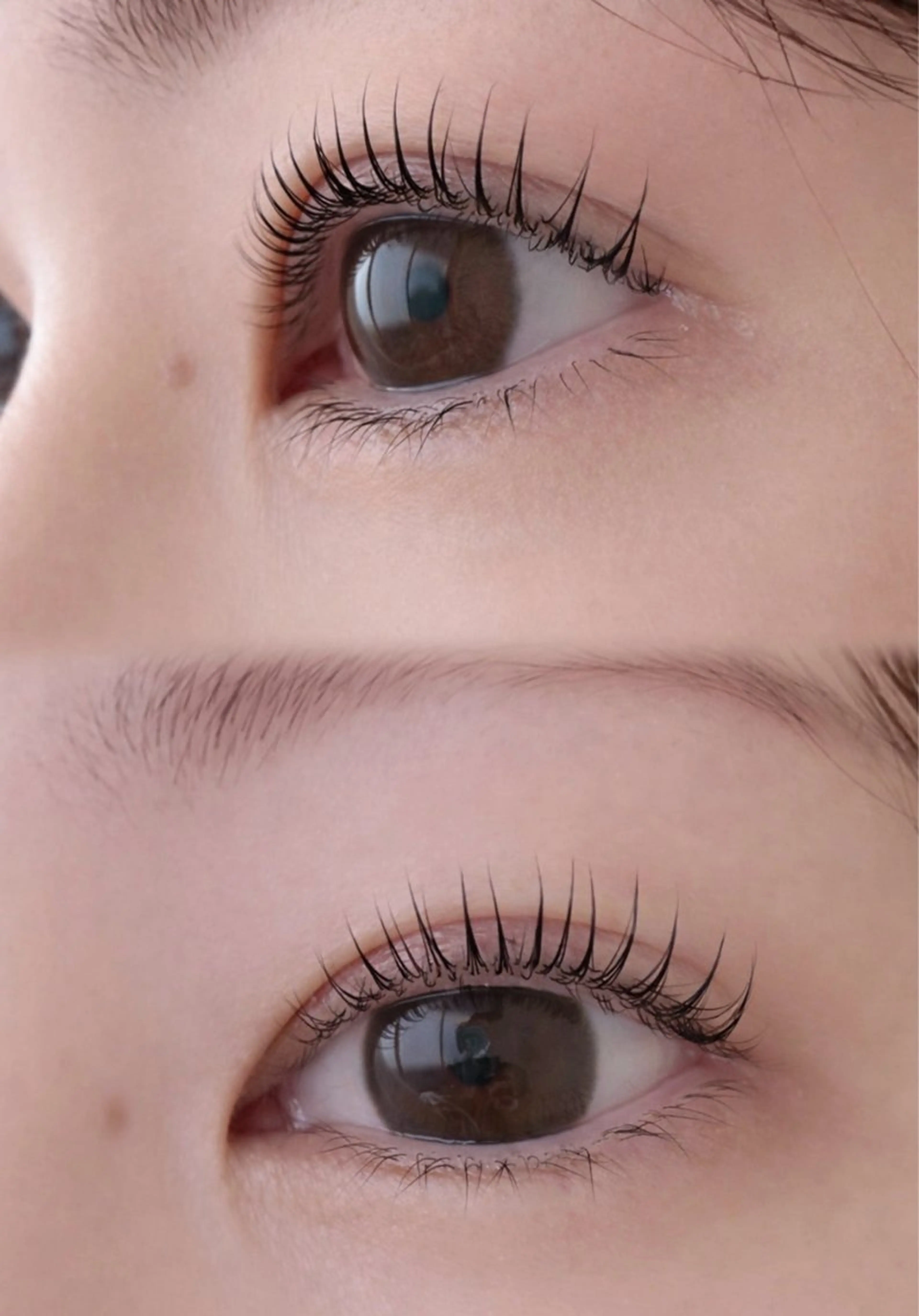 マツエク・マツパ パリジェンヌラッシュリフト マツパ まつ毛サロン【u.】 mayuのマツエク・マツパデザイン