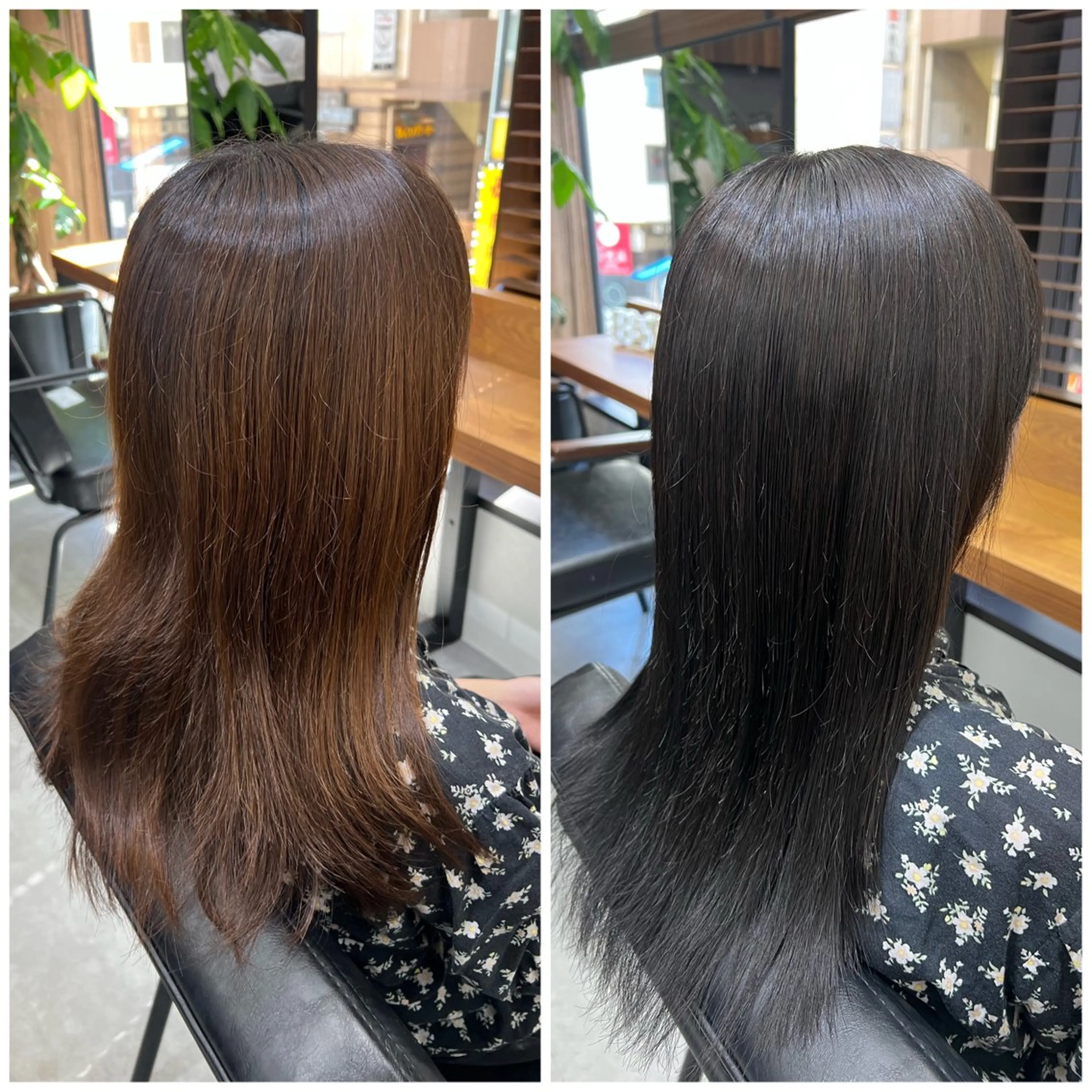 セミロング カラー ブリーチ 透明感カラー ダークグレー ショート/ウルフ カットモデル募集のヘアスタイル