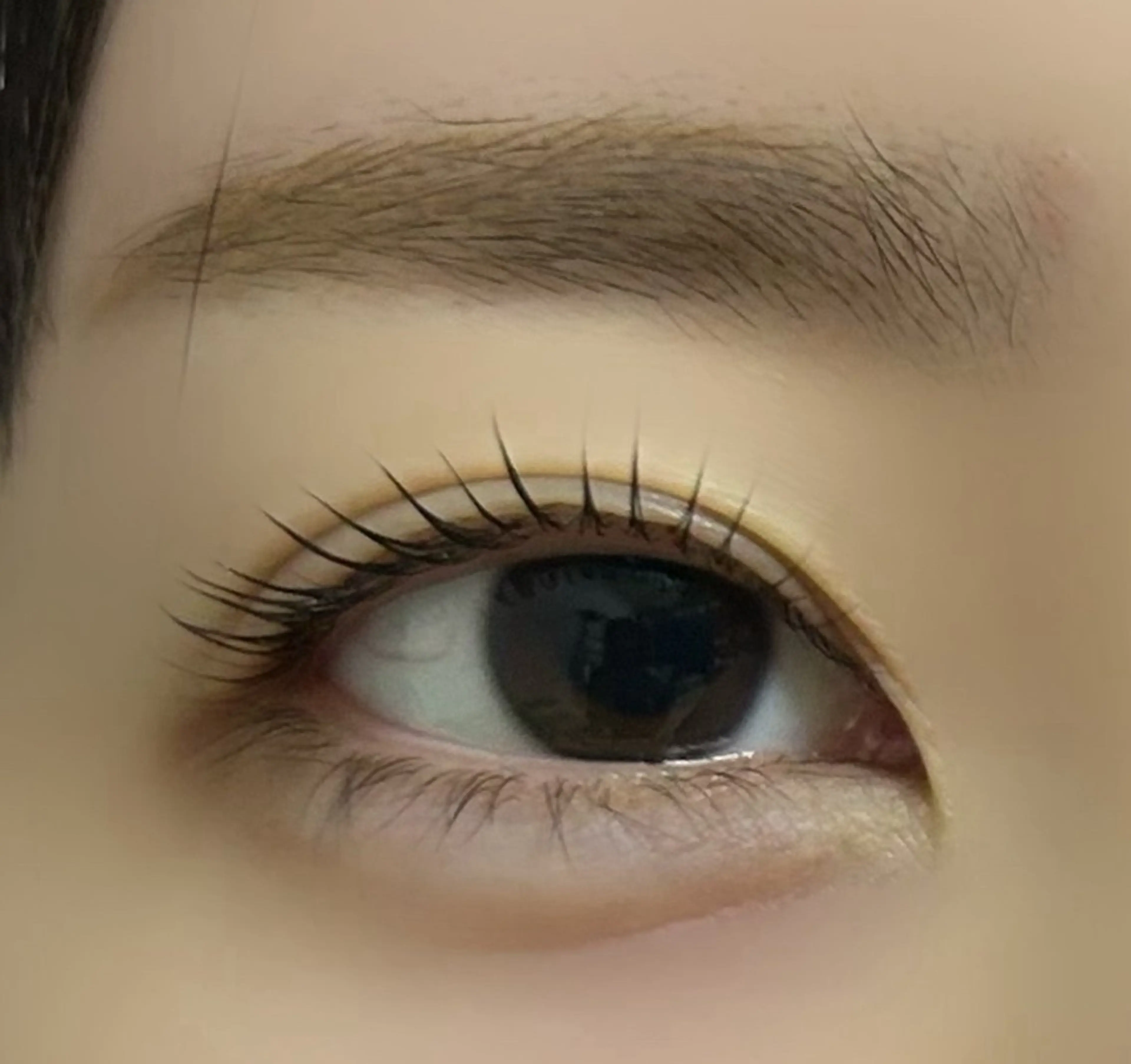 マツエク・マツパ Dazzle あいりのマツエク・マツパデザイン