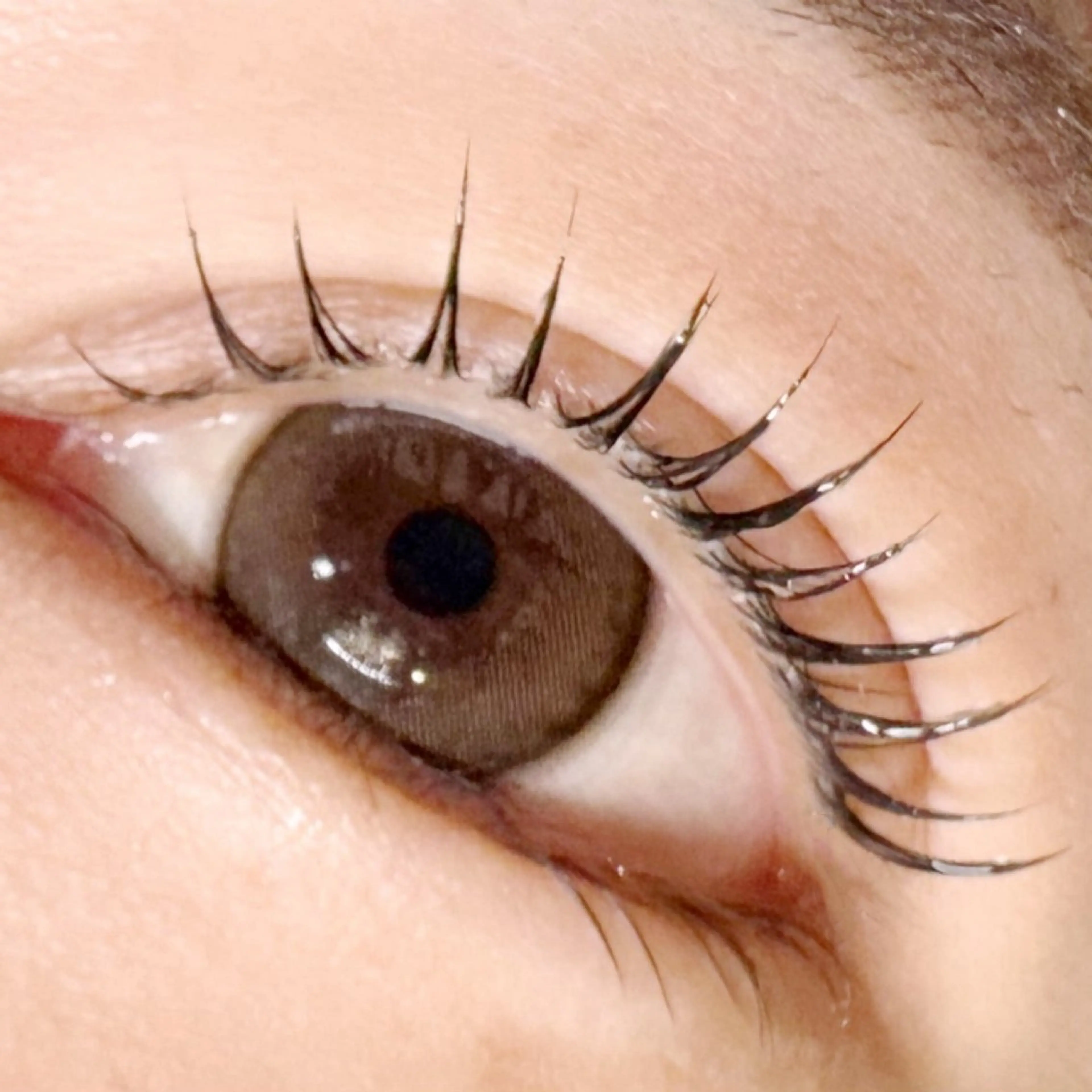 まつ毛パーマ上⤴️高持続・毛質改善✨L3リフト導入店✨1度やったら他には戻れない❤️の写真