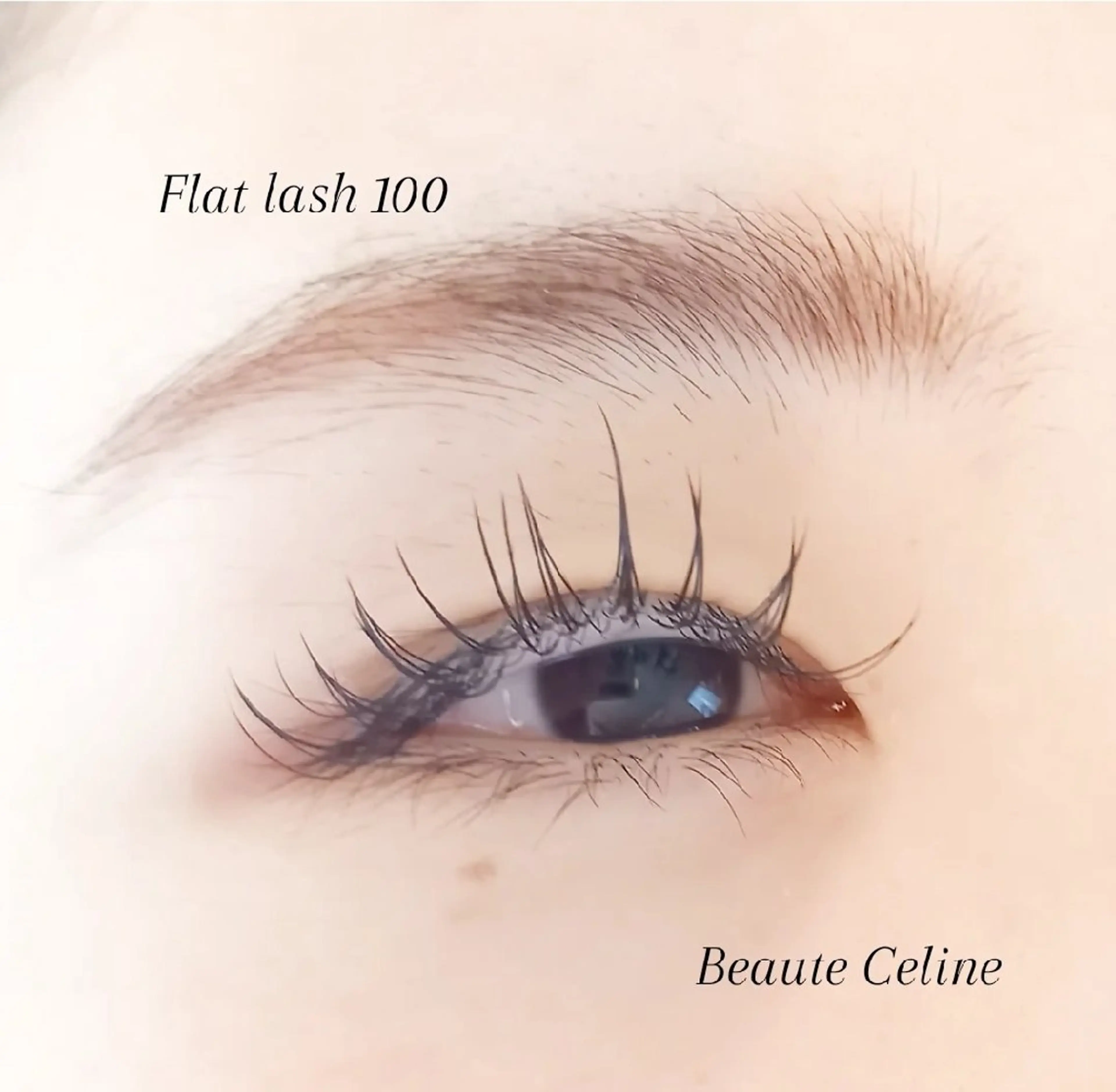 マツエク・マツパ Dカール マツエク beaute.celine所属・8時～✨beaute Celine🌛🌹のマツエク・マツパデザイン