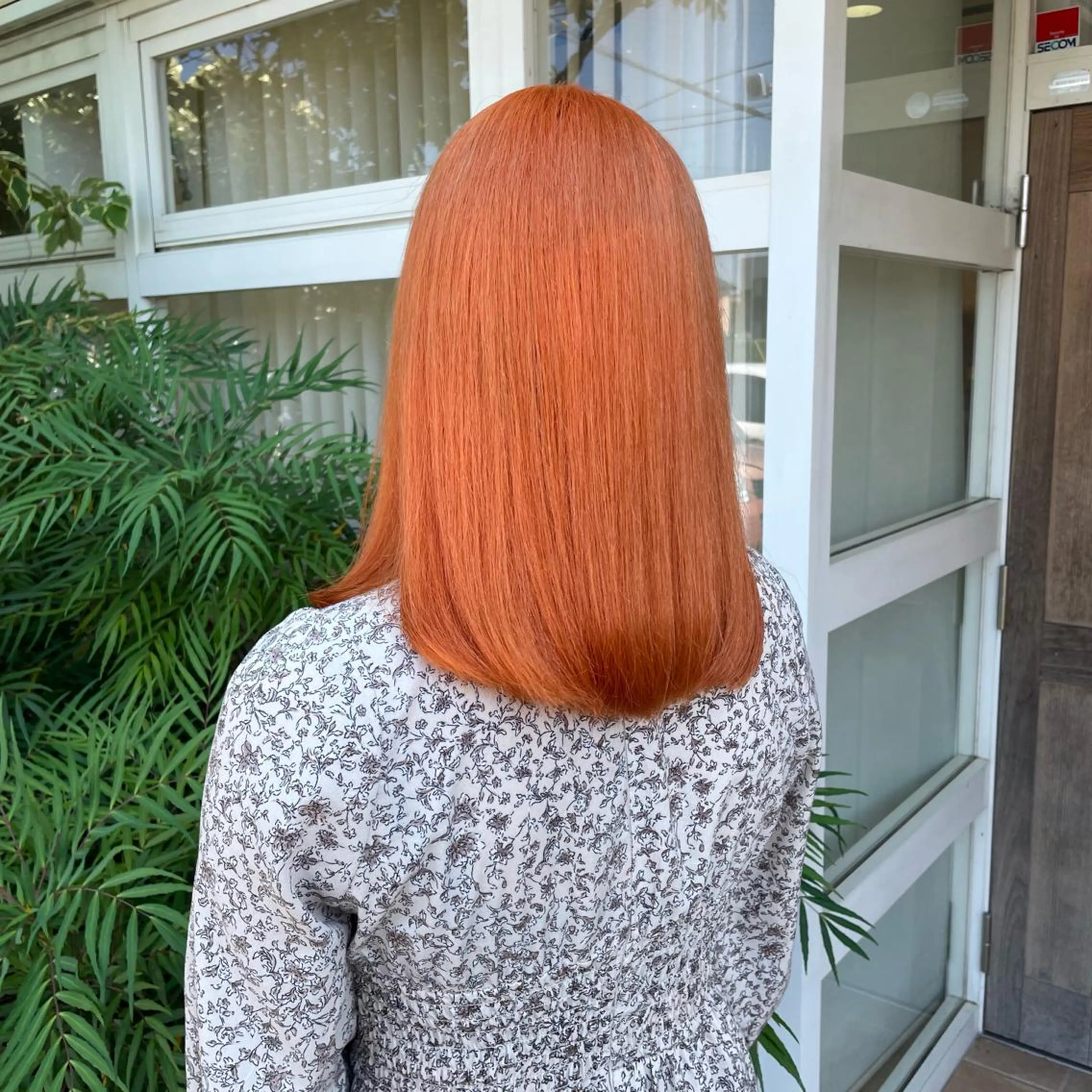 カラー 朝倉 海斗のヘアスタイル