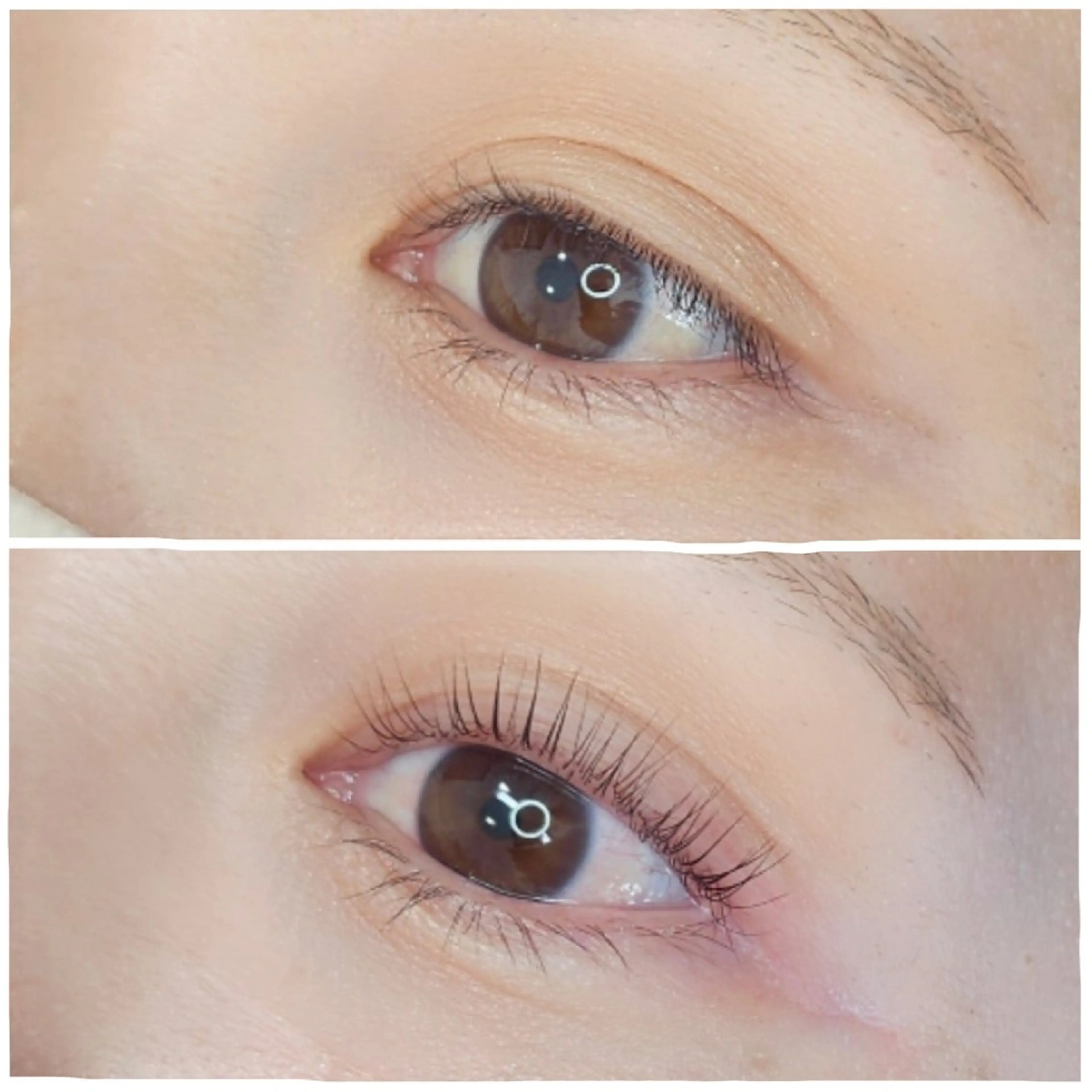 マツエク・マツパ 11/4open👏 Refoile🎉のマツエク・マツパデザイン