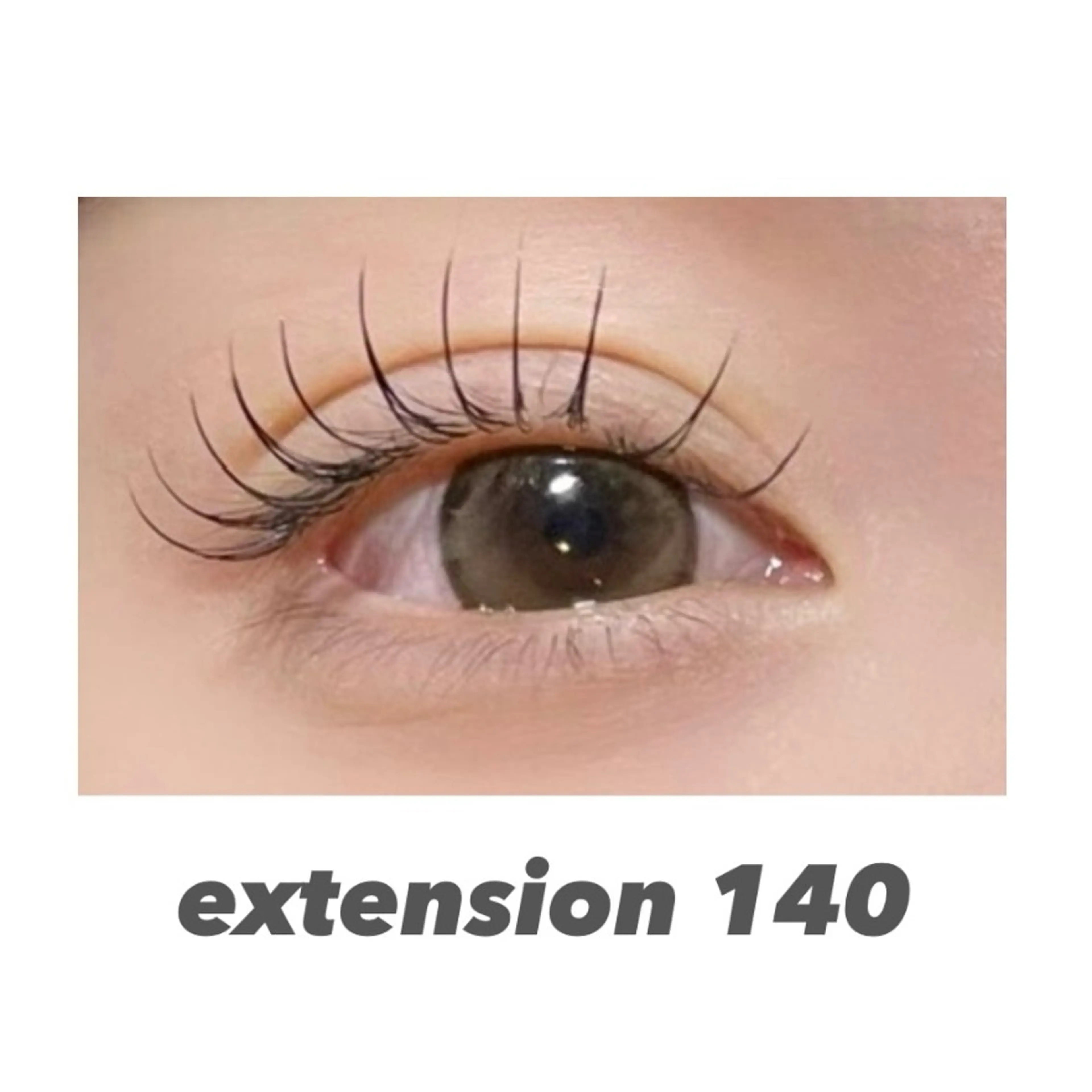 国産最高級セーブル毛140本の写真