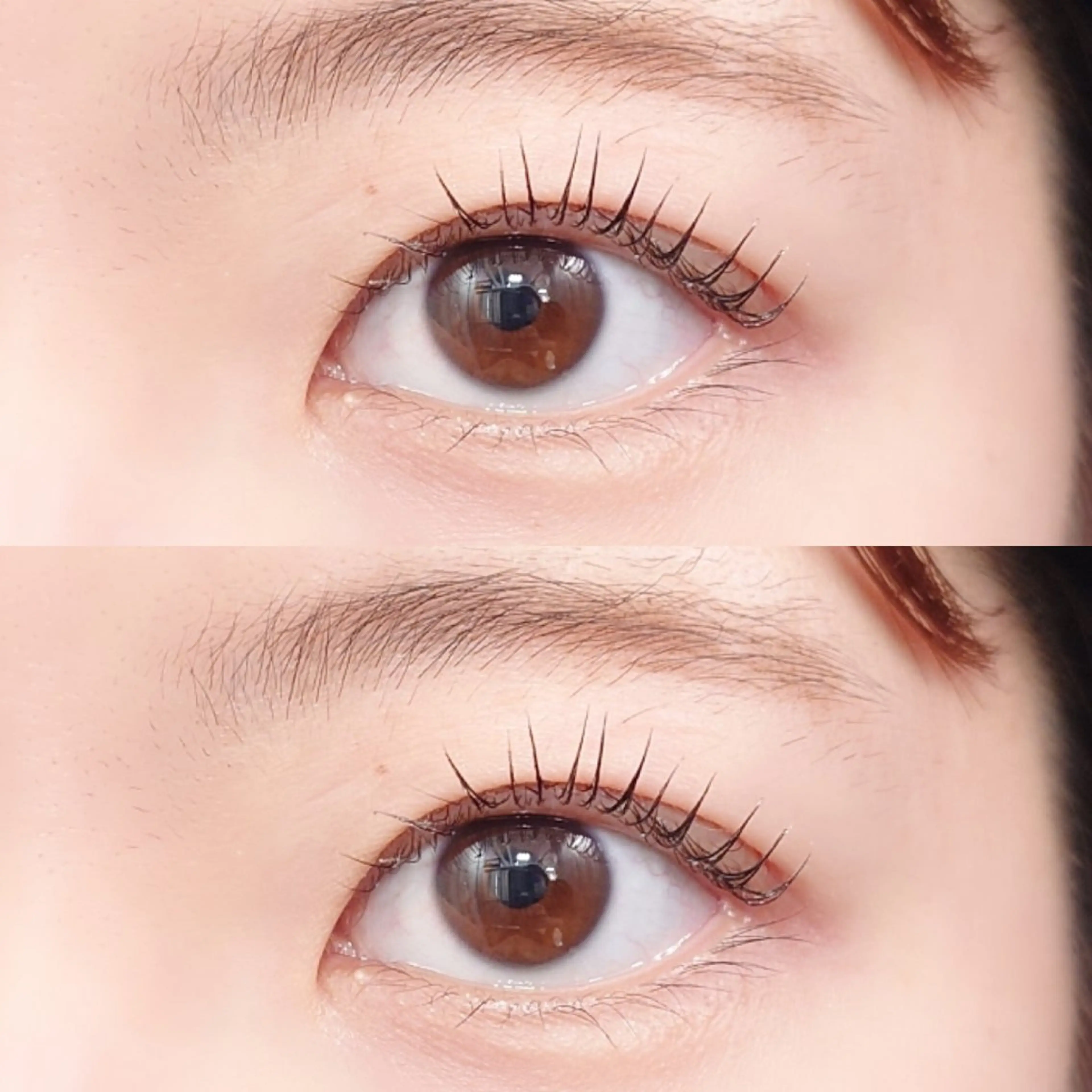 マツエク・マツパ 一重×まつ毛パーマ tico 🌱shiori🌱のヘアスタイル