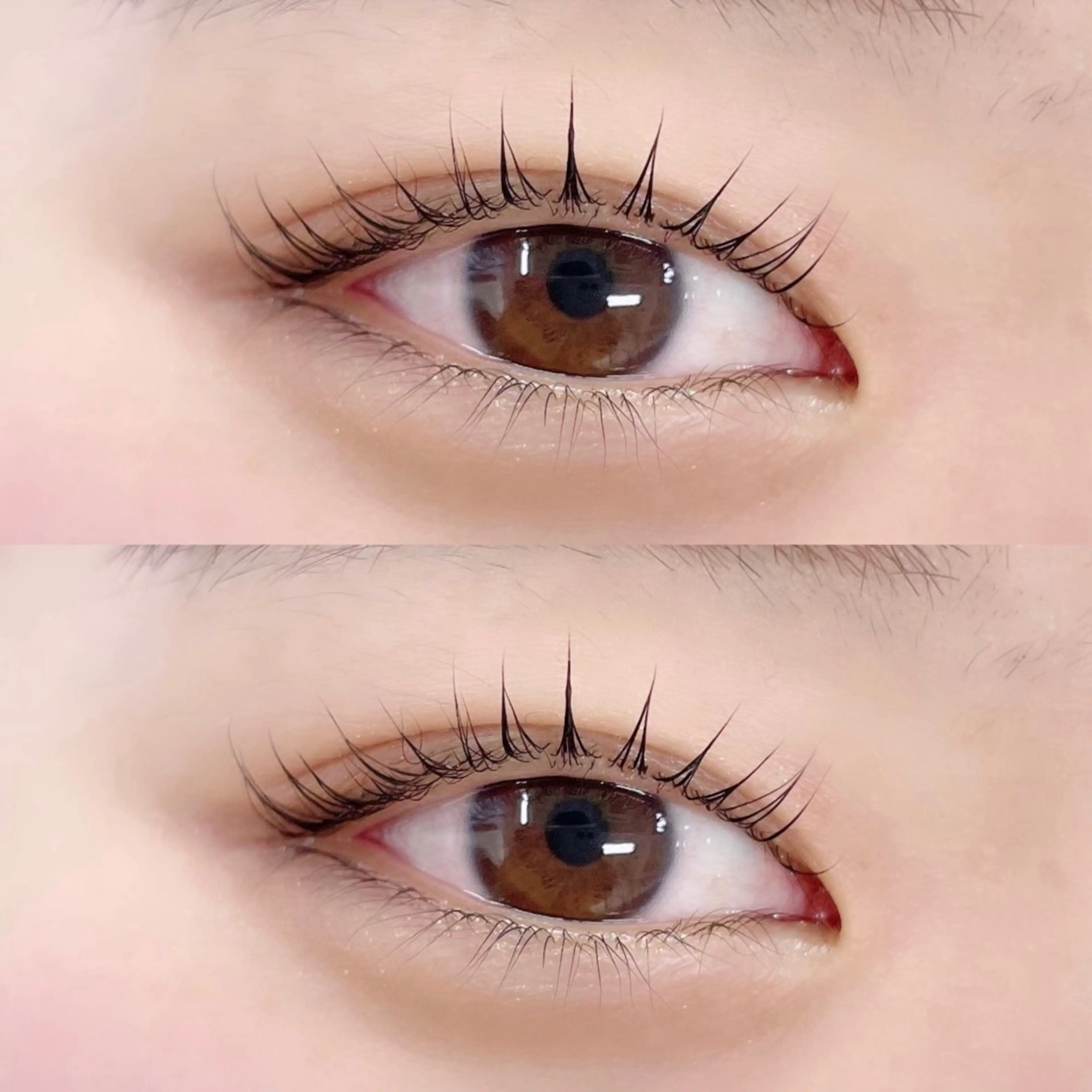 マツエク・マツパ パリジェンヌラッシュリフト マツパ 🧸Li'a おがわ🧸のマツエク・マツパデザイン