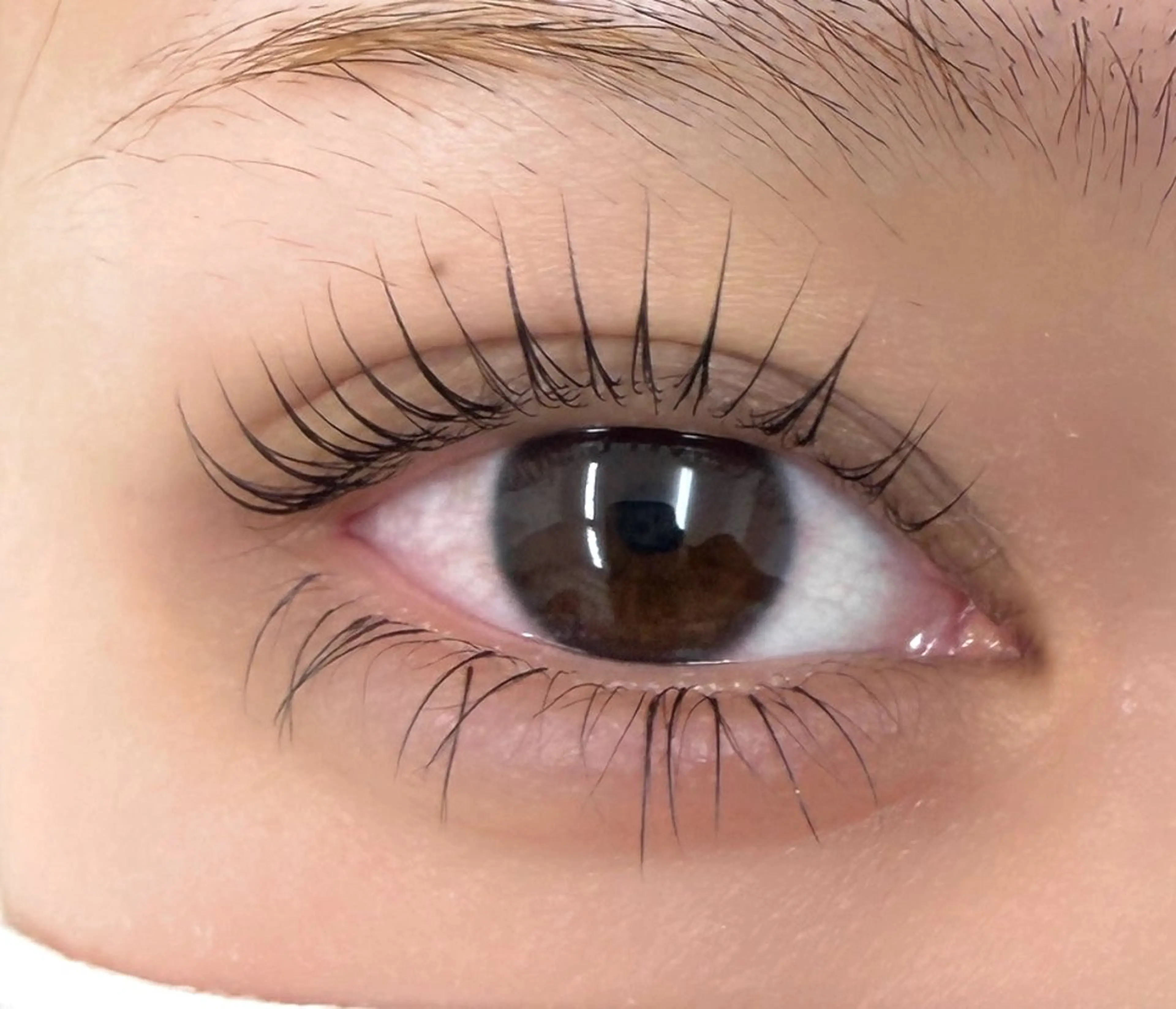 マツエク・マツパ マツパ 表参道駅徒歩2分🫧 まつげパーマ/Emiのマツエク・マツパデザイン