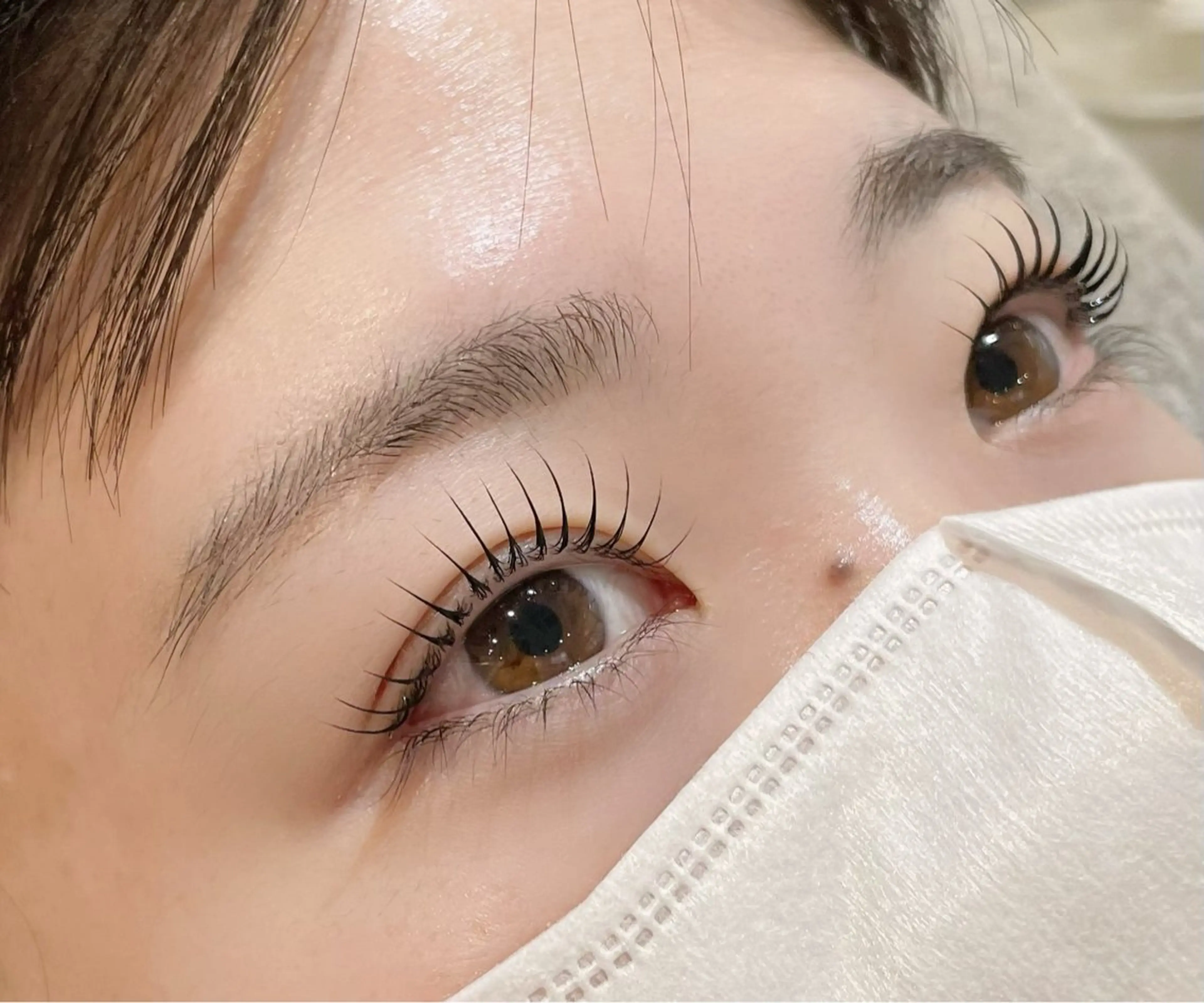 【高濃度トリートメント付き】lashlift🪽の写真