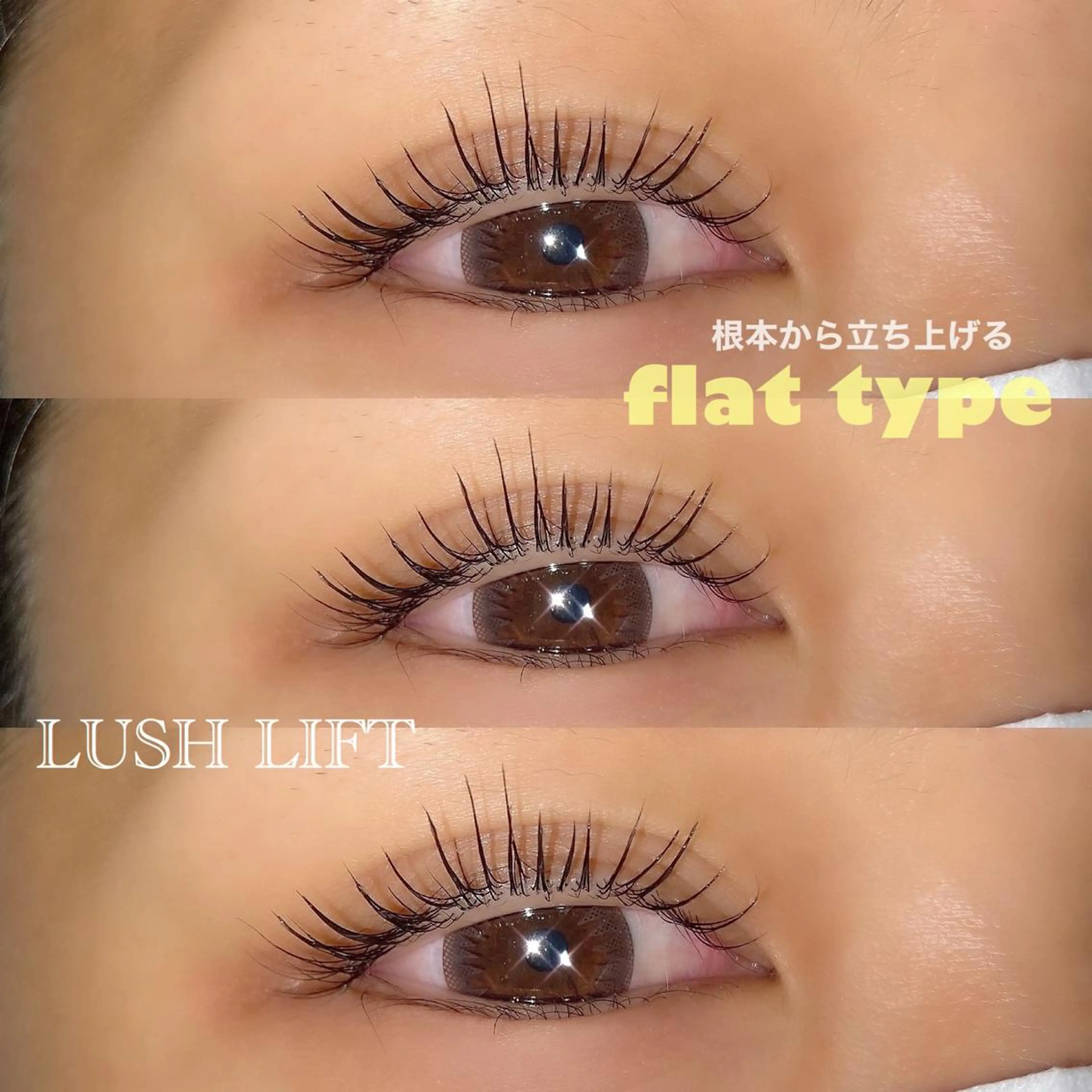 マツエク・マツパ 一重×まつ毛パーマ eyelash Zen 🪞リオカのマツエク・マツパデザイン