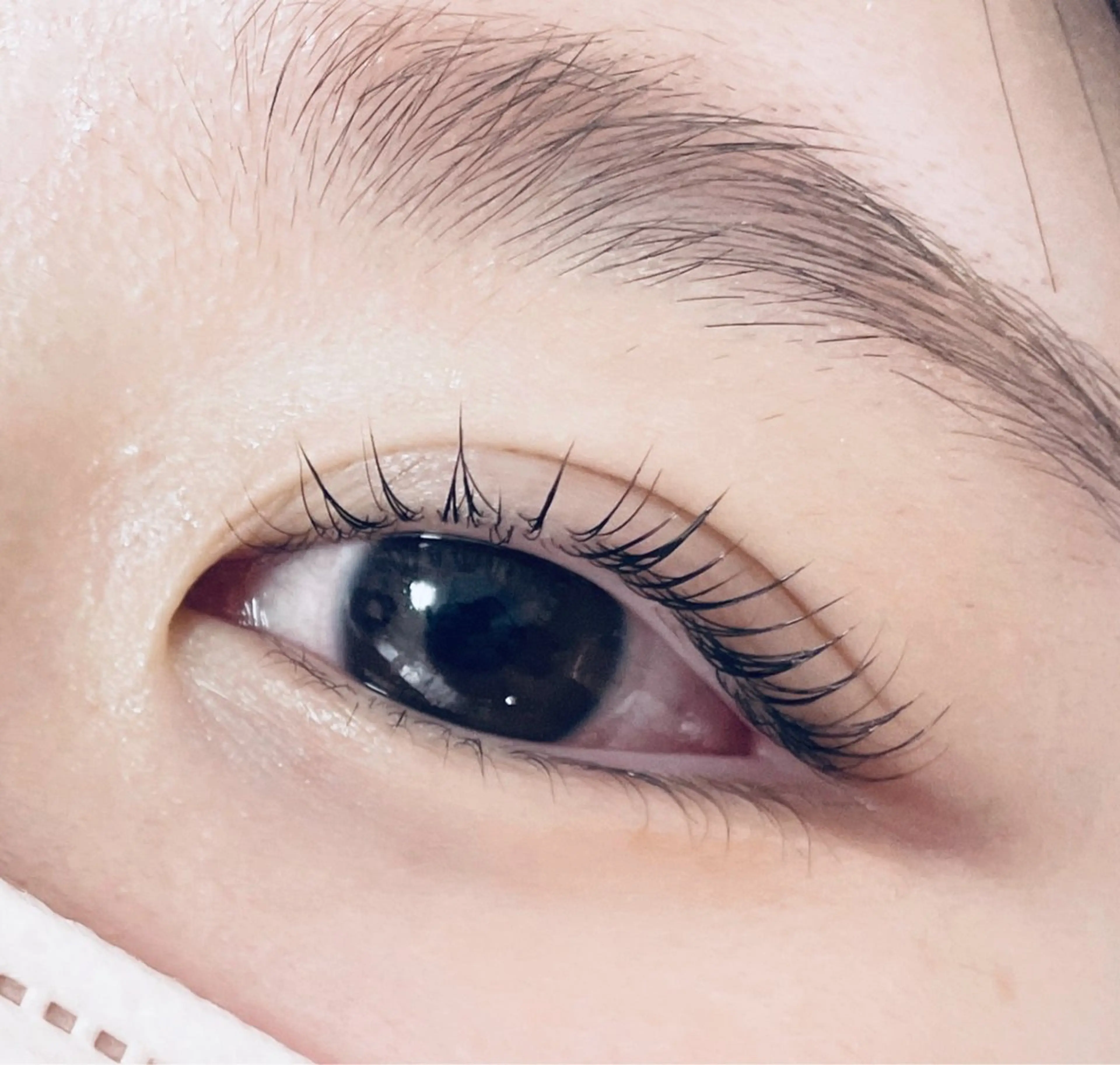 下まつげも一緒に🤲🏻上下の、パーマ✨パリジェンヌラッシュリフト！の写真