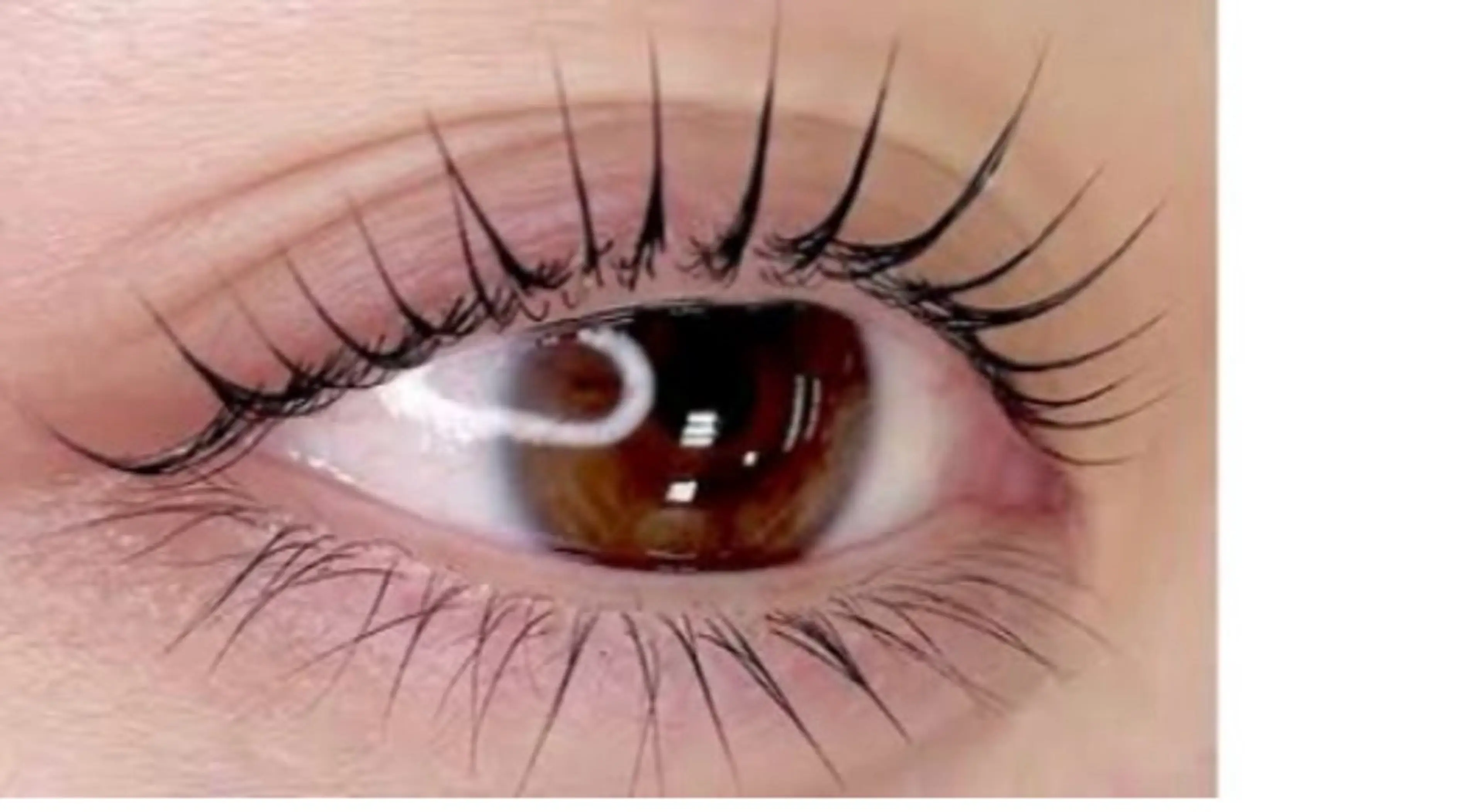 上下まつ毛パーマの写真