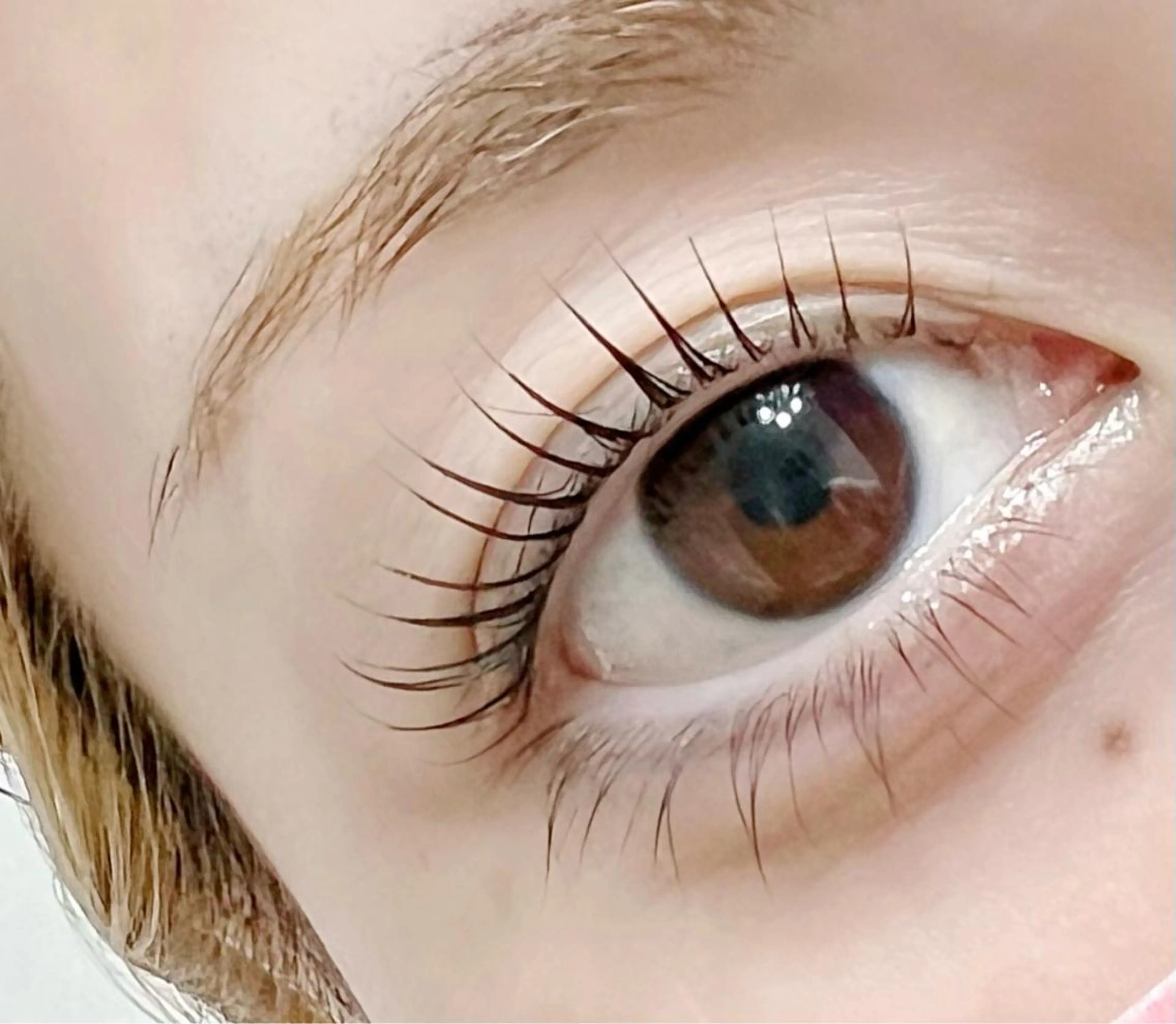 【当日予約限定】特別料金！！高濃度ケラチントリートメント付き上下まつげパーマ♪の写真