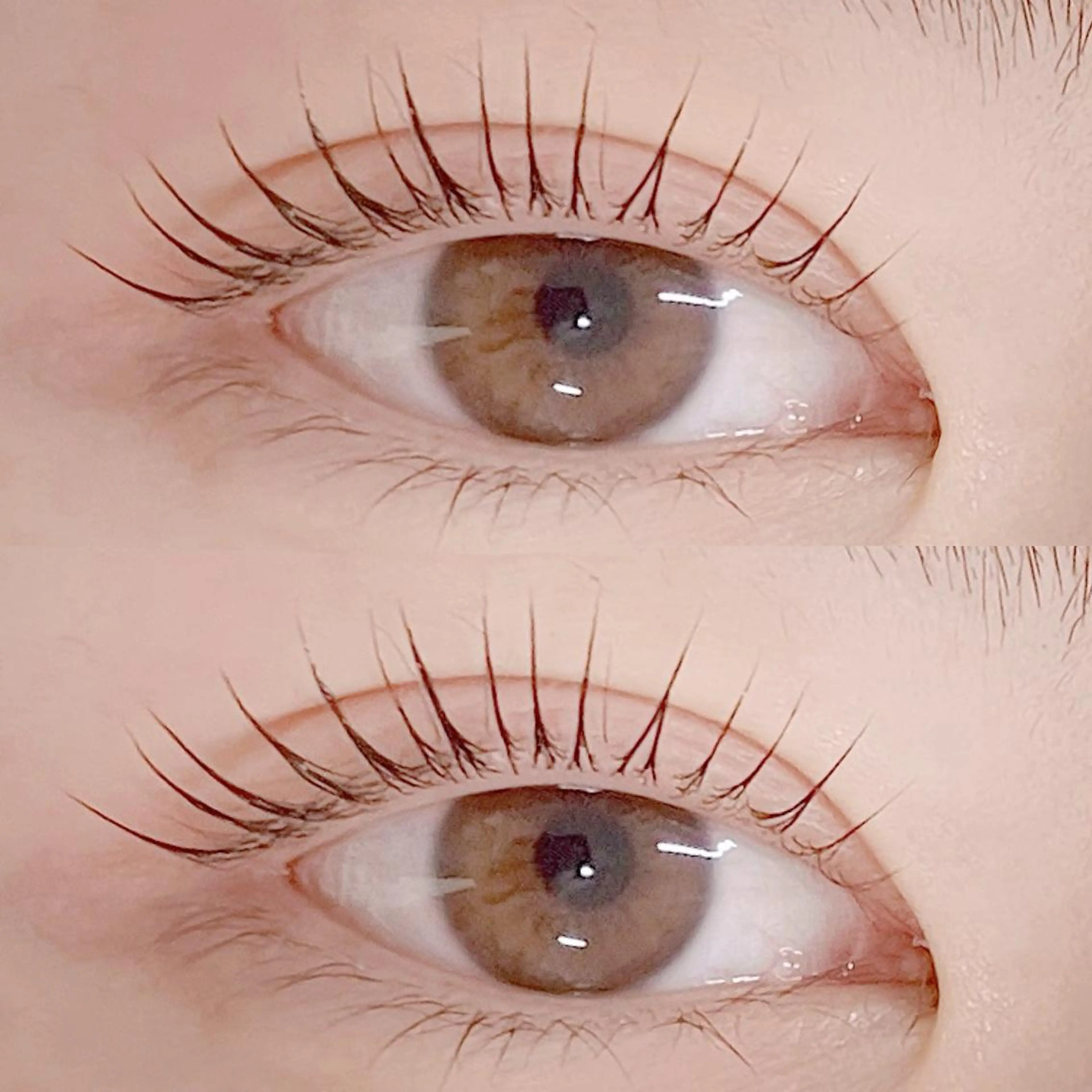 マツエク・マツパ 一重×まつ毛パーマ フジ ワラのマツエク・マツパデザイン