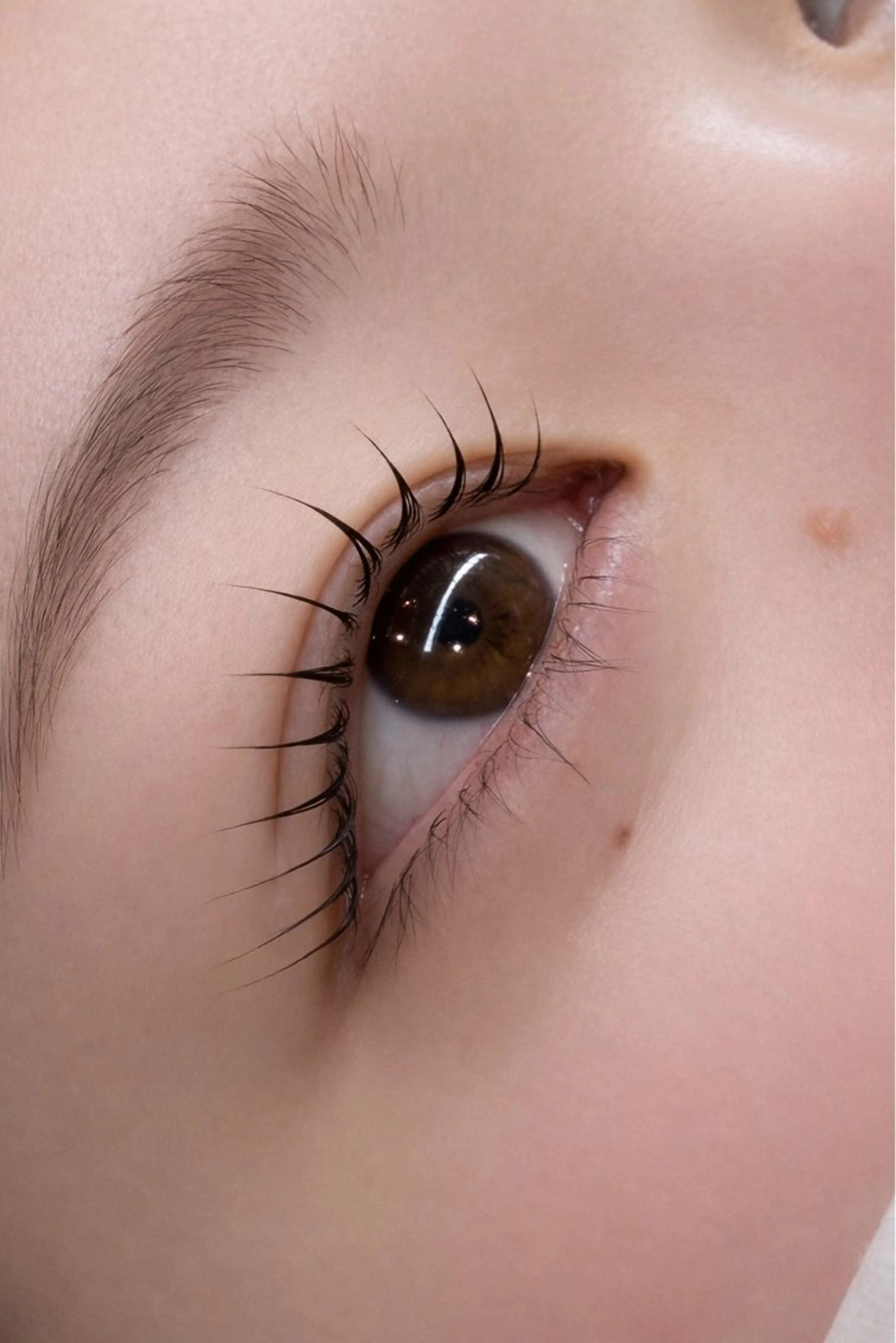 ★特別価格★3800円🩷まつげパーマorパリジェンヌ📍必ず予約リクエストからご連絡下さい🙇‍♀️の写真