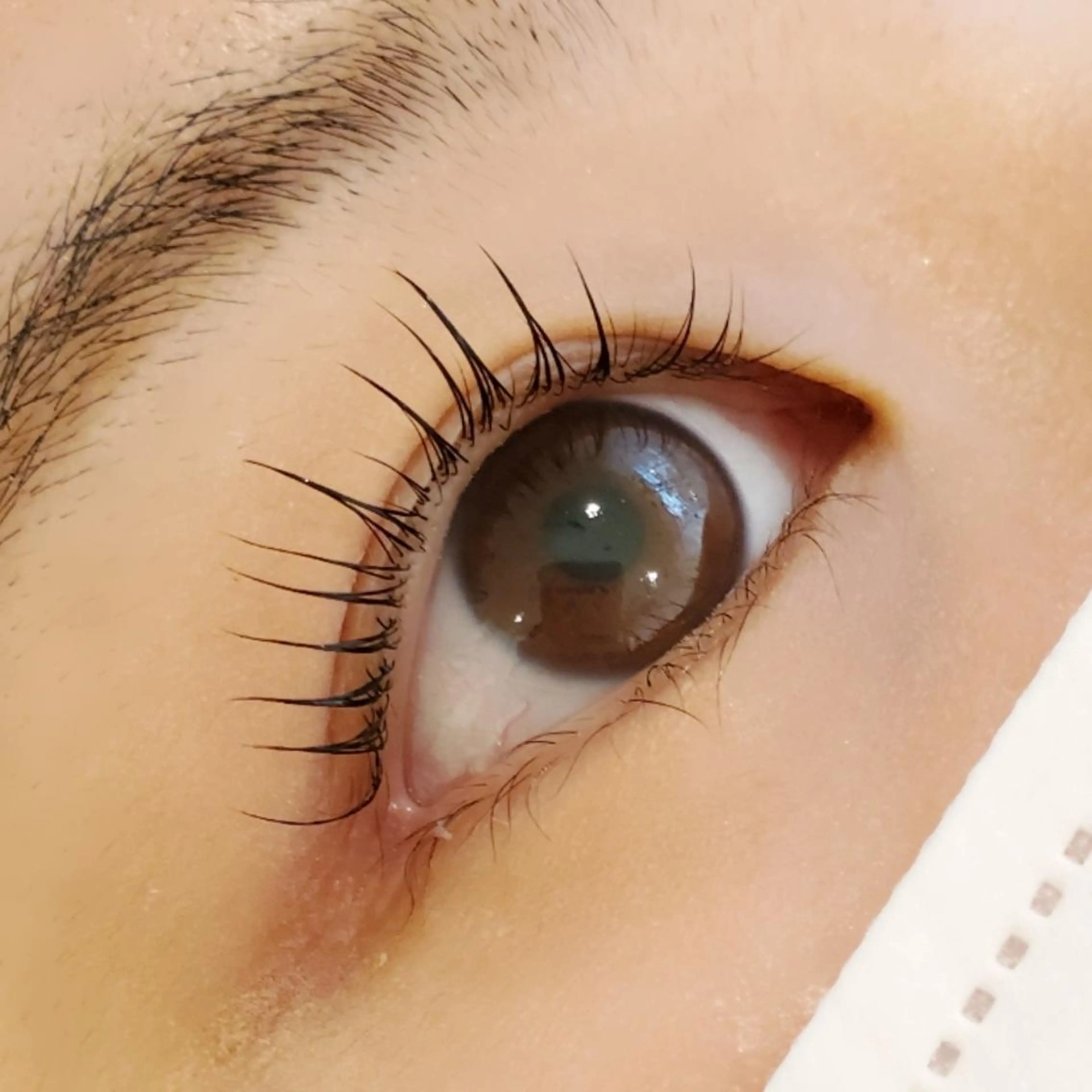 マツエク・マツパ ant_u🌷 arisaのマツエク・マツパデザイン