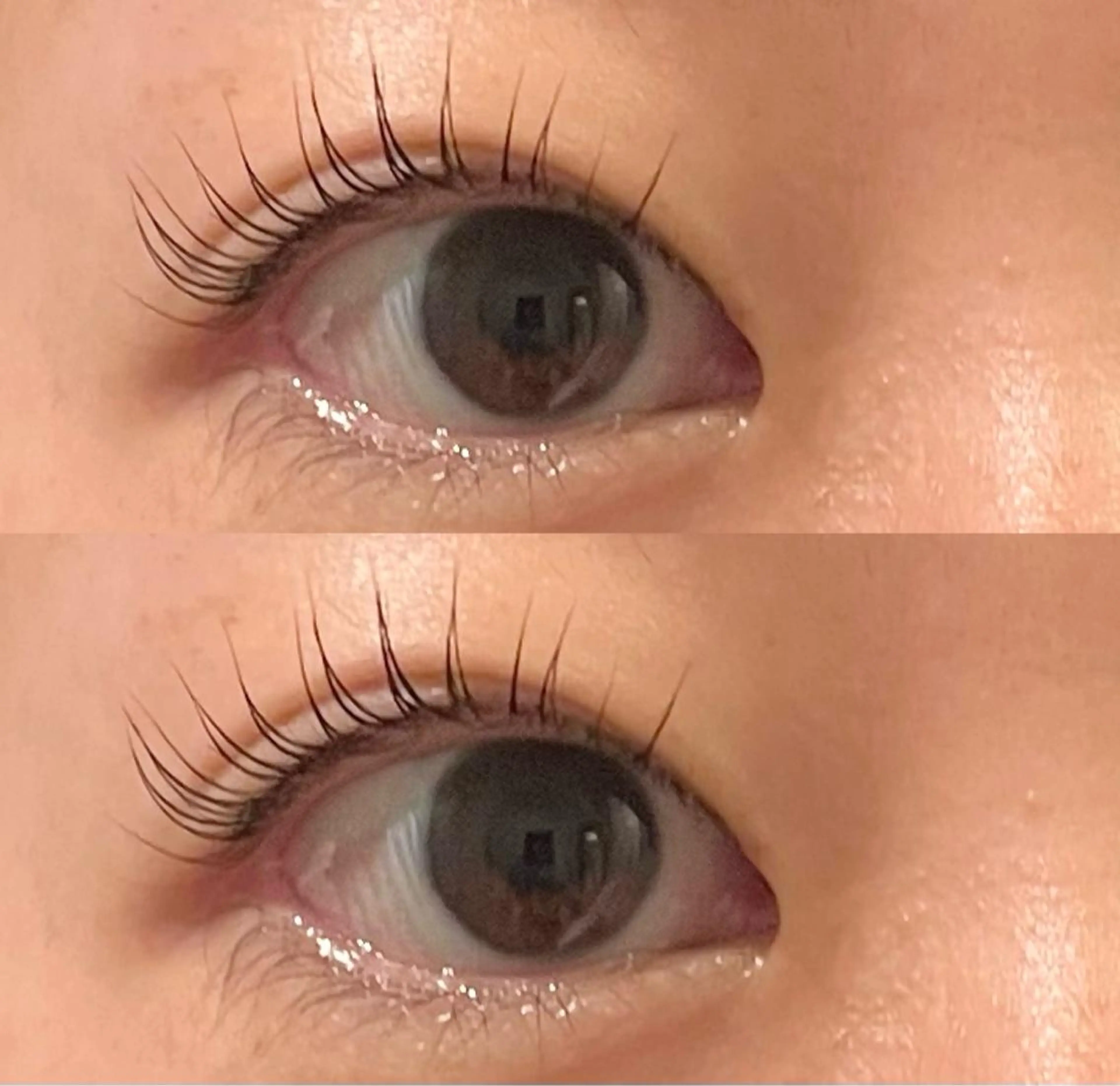 マツエク・マツパ PLUME🕊 yuunaのマツエク・マツパデザイン