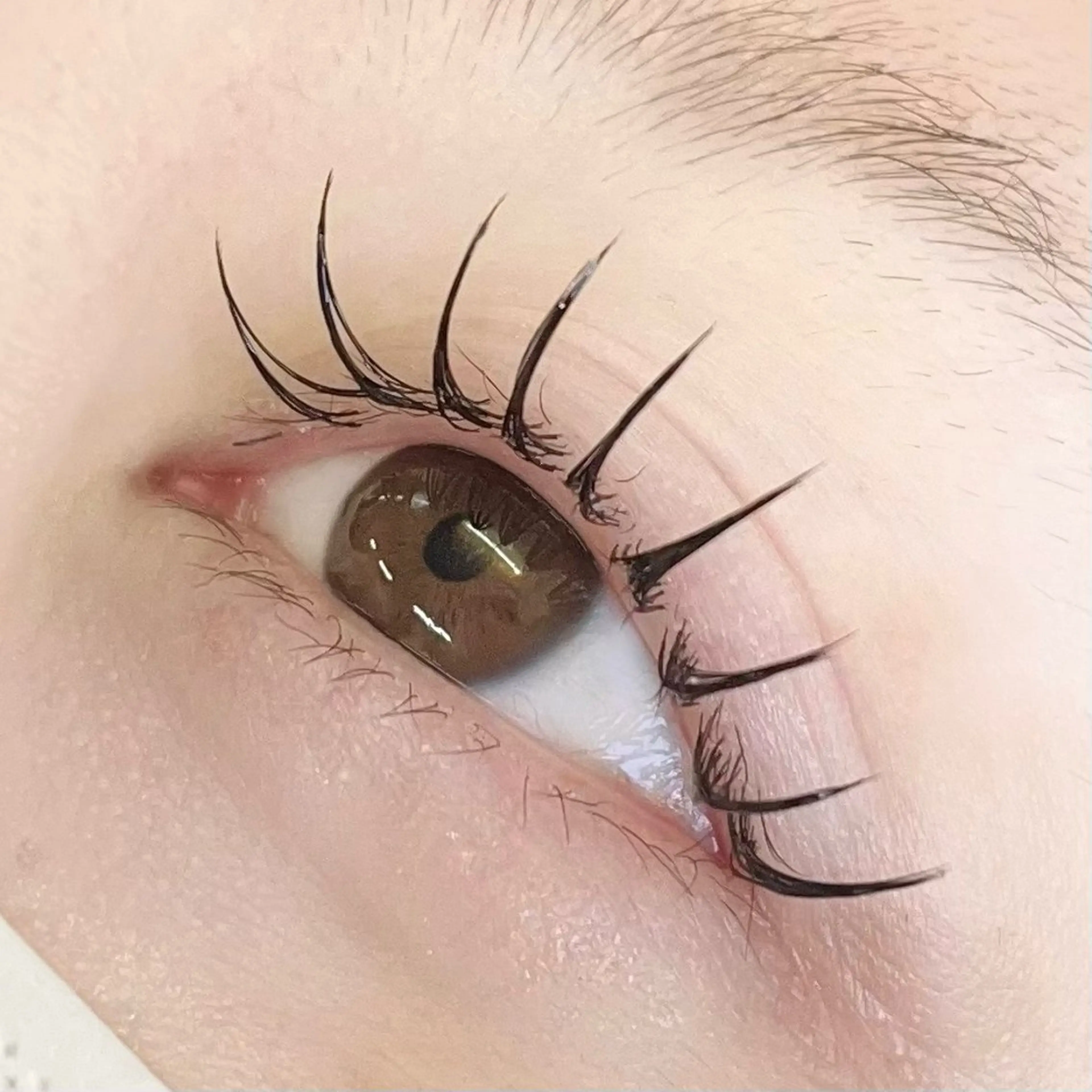 マツエク・マツパ マツエク Riran♡ Moeのマツエク・マツパデザイン