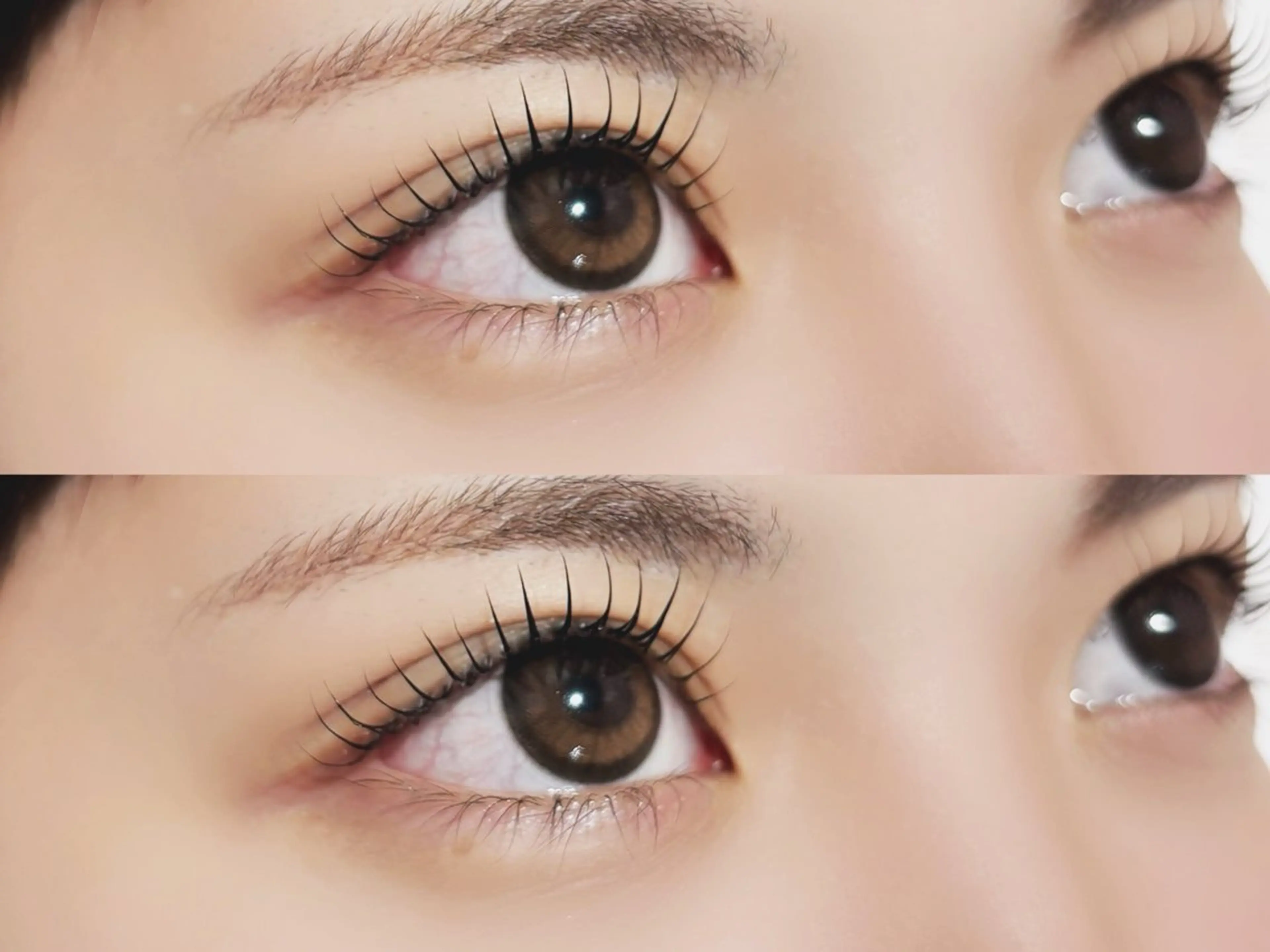 アッパーリフトカールの写真