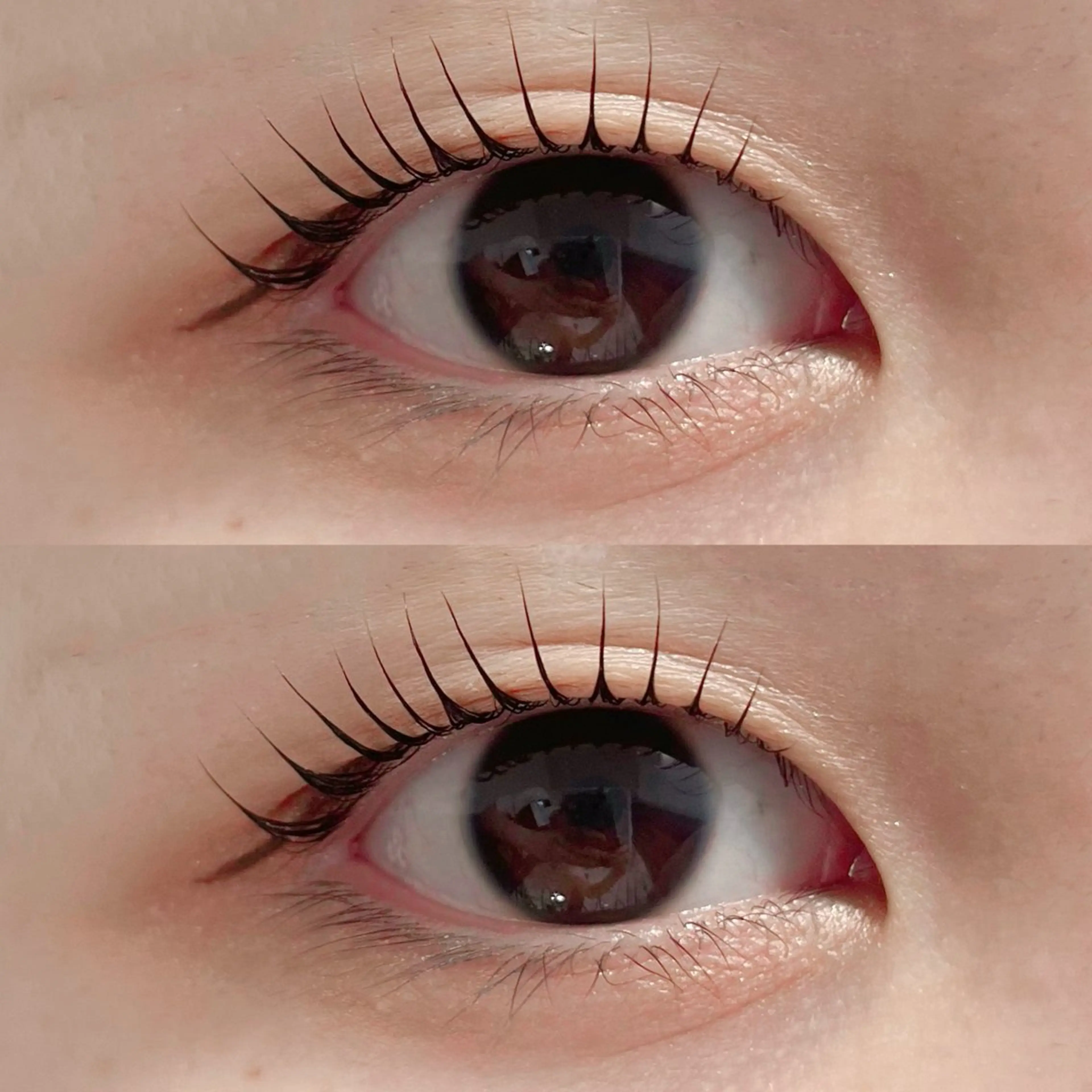 【まつ毛パーマ☆立ち上げ×弱カール】　　　　　　　　　　🍀フェアリーテール🍀の写真