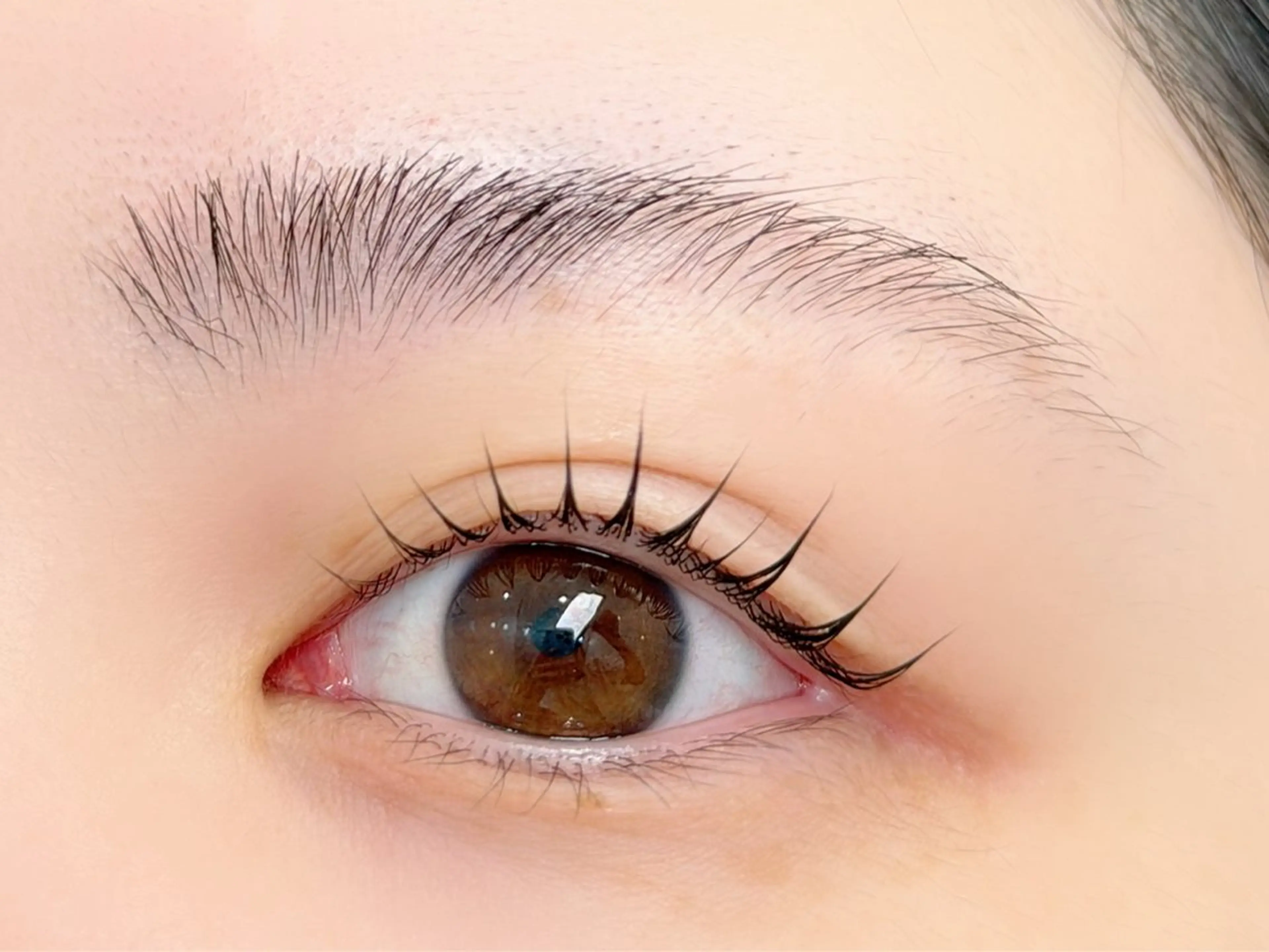 🍀［4月13日］当日限定！まつ毛パーマ（パリジェンヌ可）【14時～のみ】🍀の写真