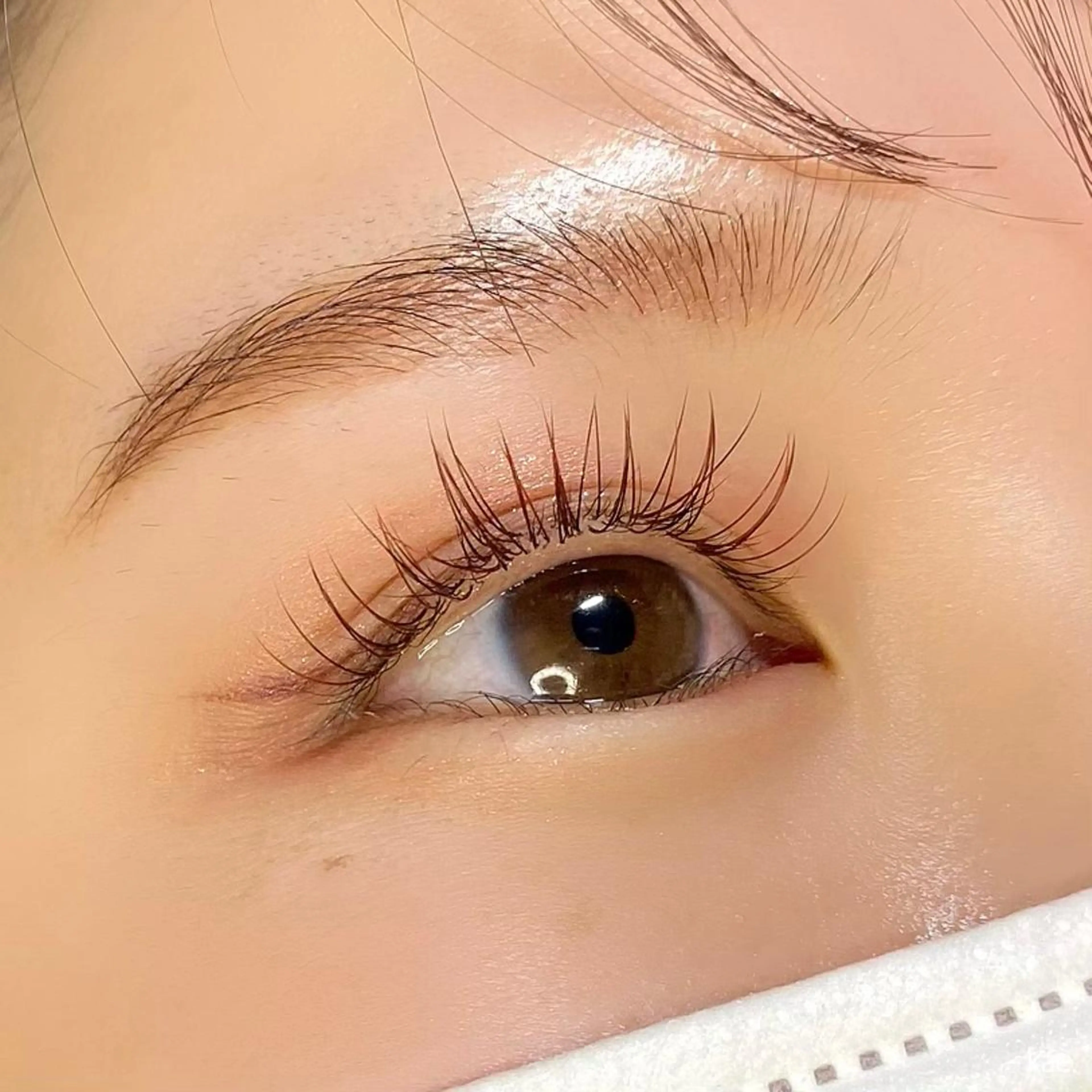 ブラウン120本コーティングつき🤎の写真