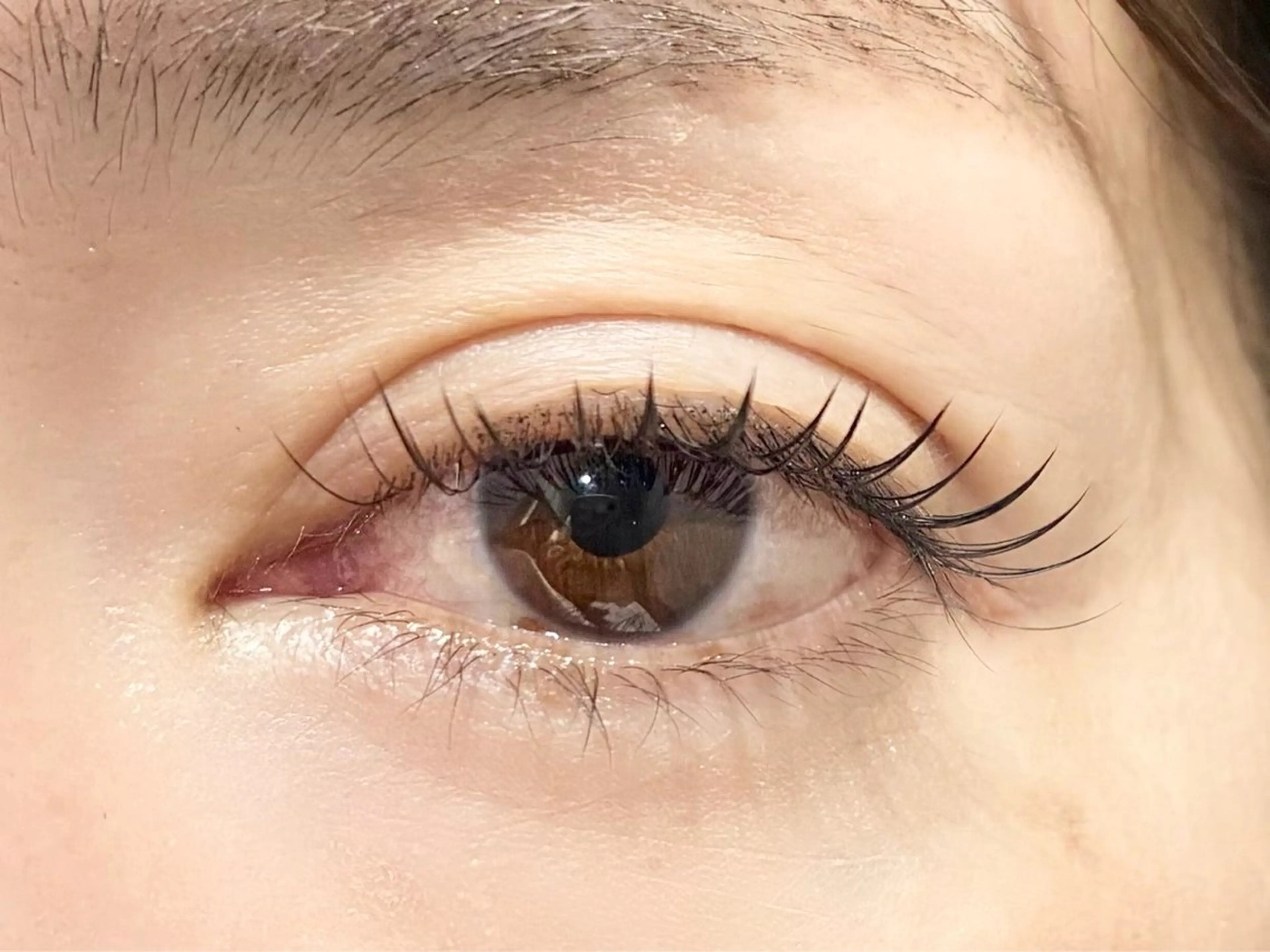 マツエク・マツパ フラットラッシュ マツエク 中村彩香 (エフドゥ)のマツエク・マツパデザイン