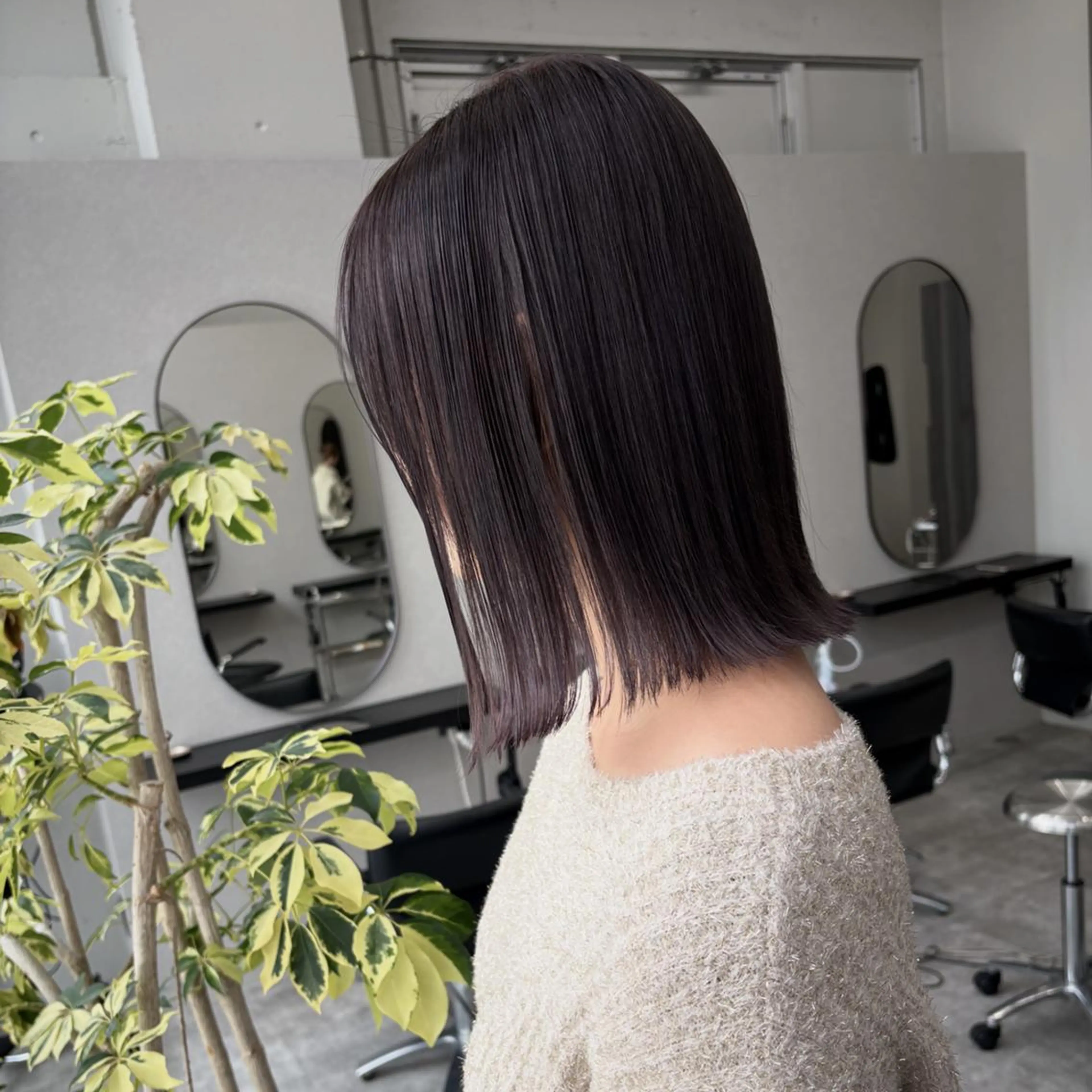 カラー セミロング 透明感カラー グレージュ ラベンダーカラー ラベンダーグレージュ ラベンダーグレー ヘアカラー トリートメント 透明感🪽艶カラー☆ トレンドヘア✨のヘアスタイル
