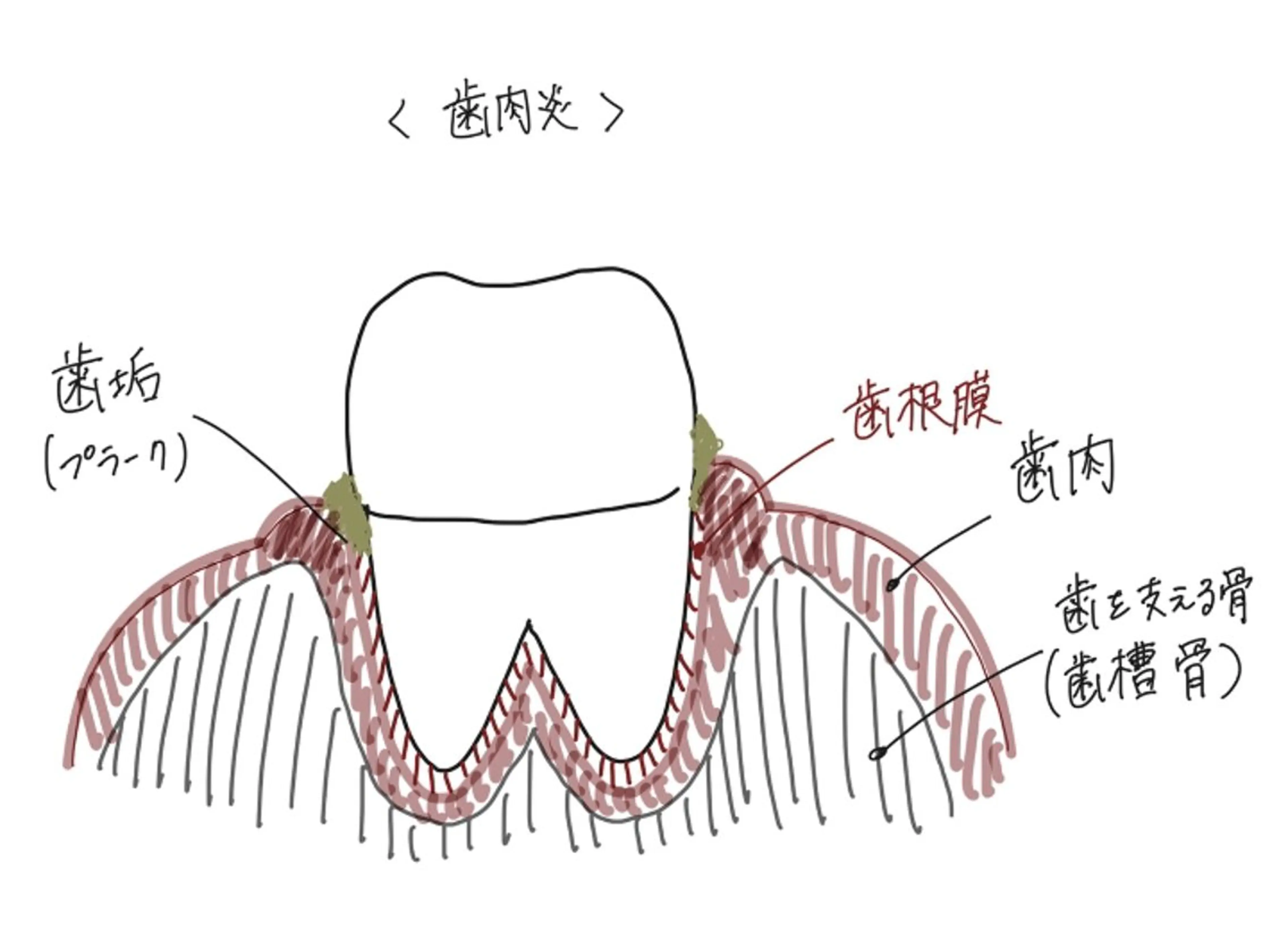 ショート ホワイトニングサロン nico西葛西店のその他イメージ