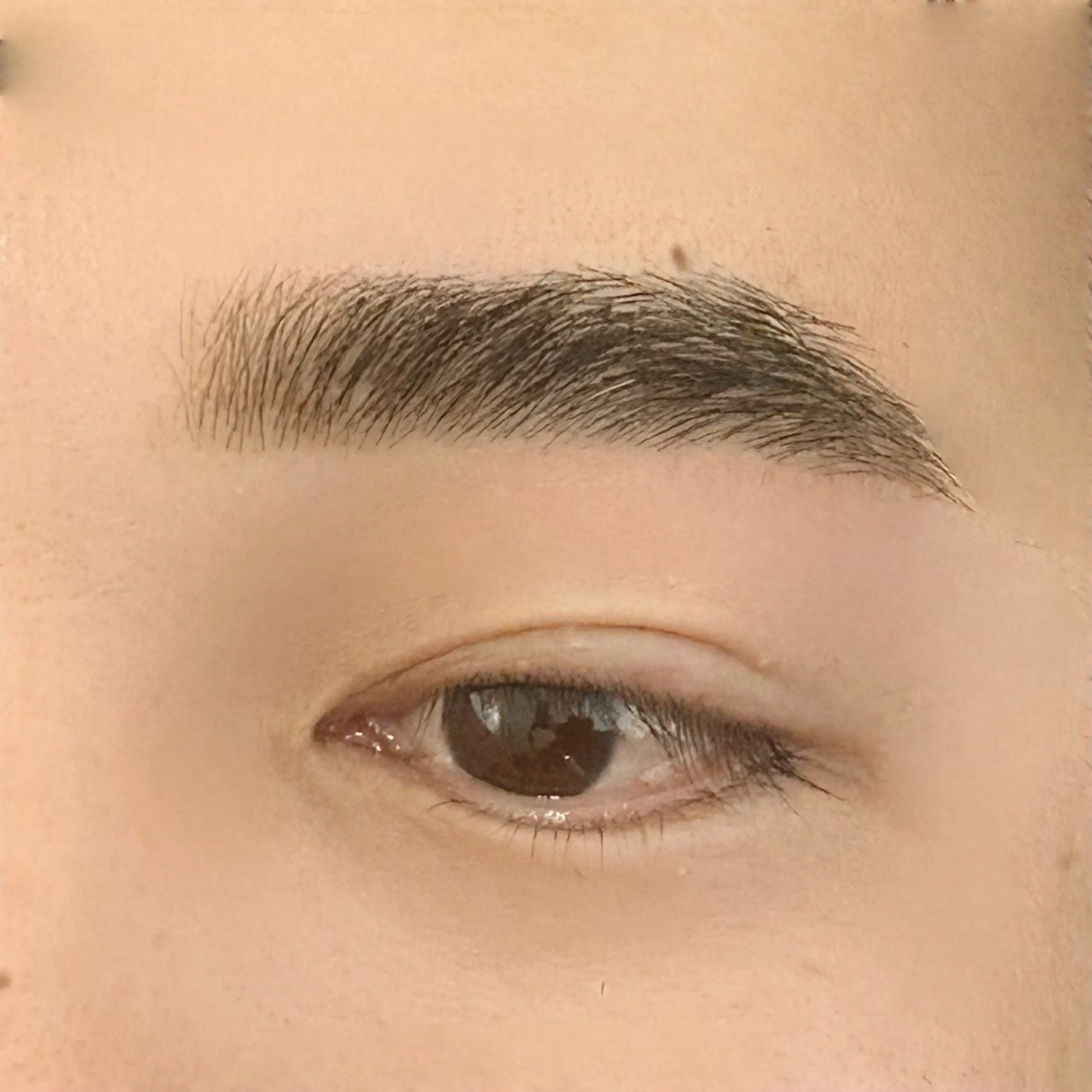 ワックス脱毛、眉カット、メイクの写真