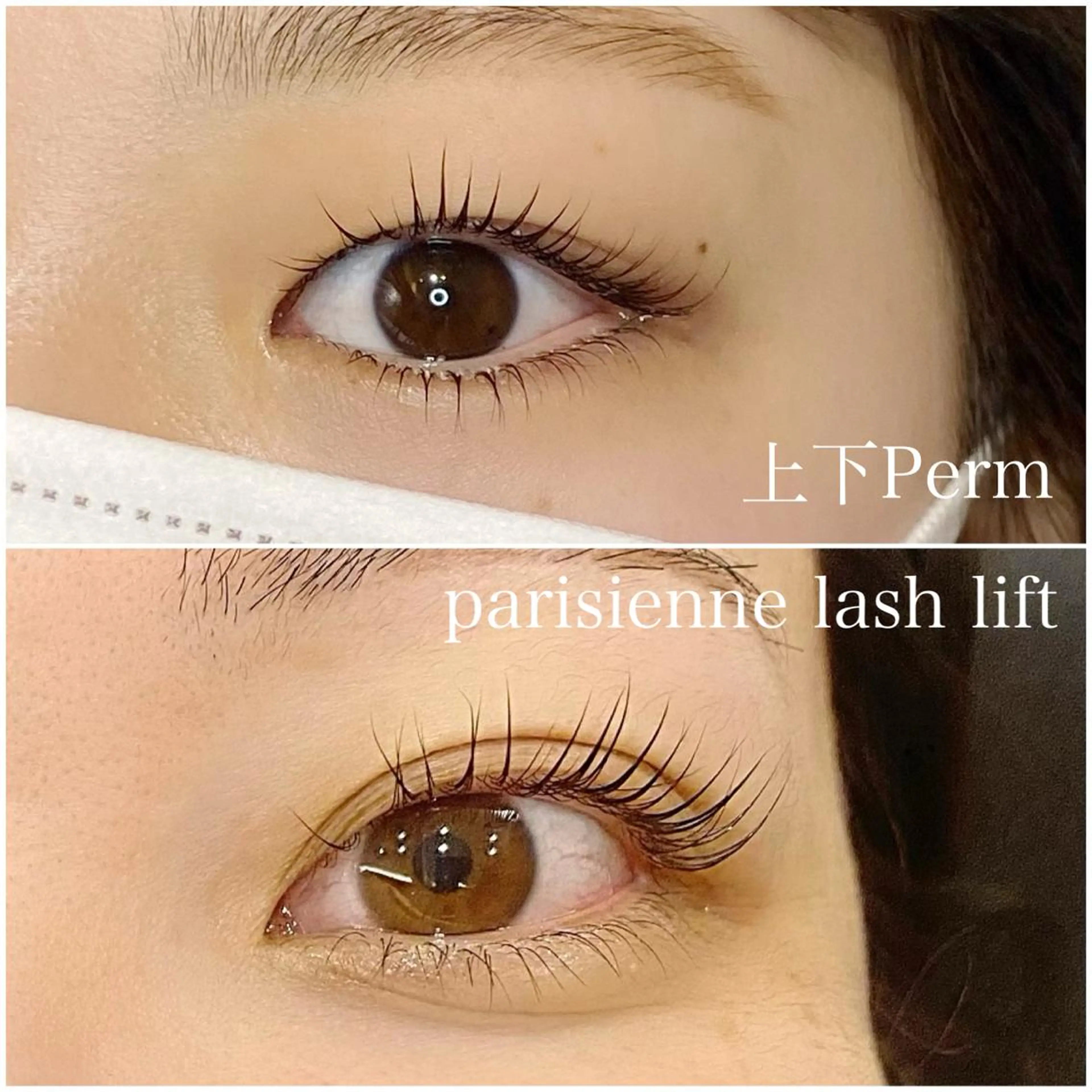 マツエク・マツパ フラットラッシュ パリジェンヌラッシュリフト まつげパーマ ボリュームラッシュ マツパ 束感パリジェンヌ上下 恵比寿ayakaのマツエク・マツパデザイン