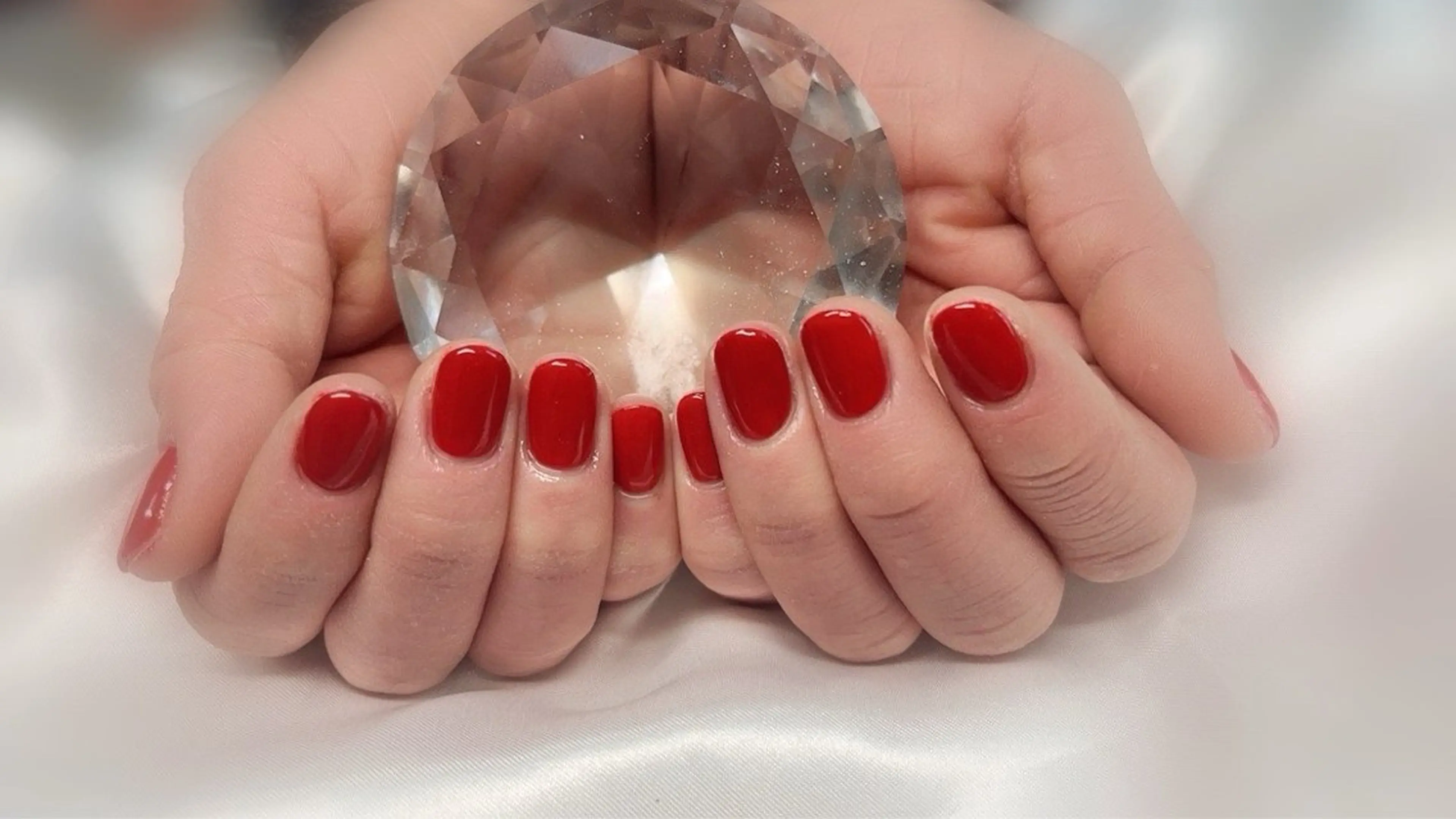 ワンカラーの写真