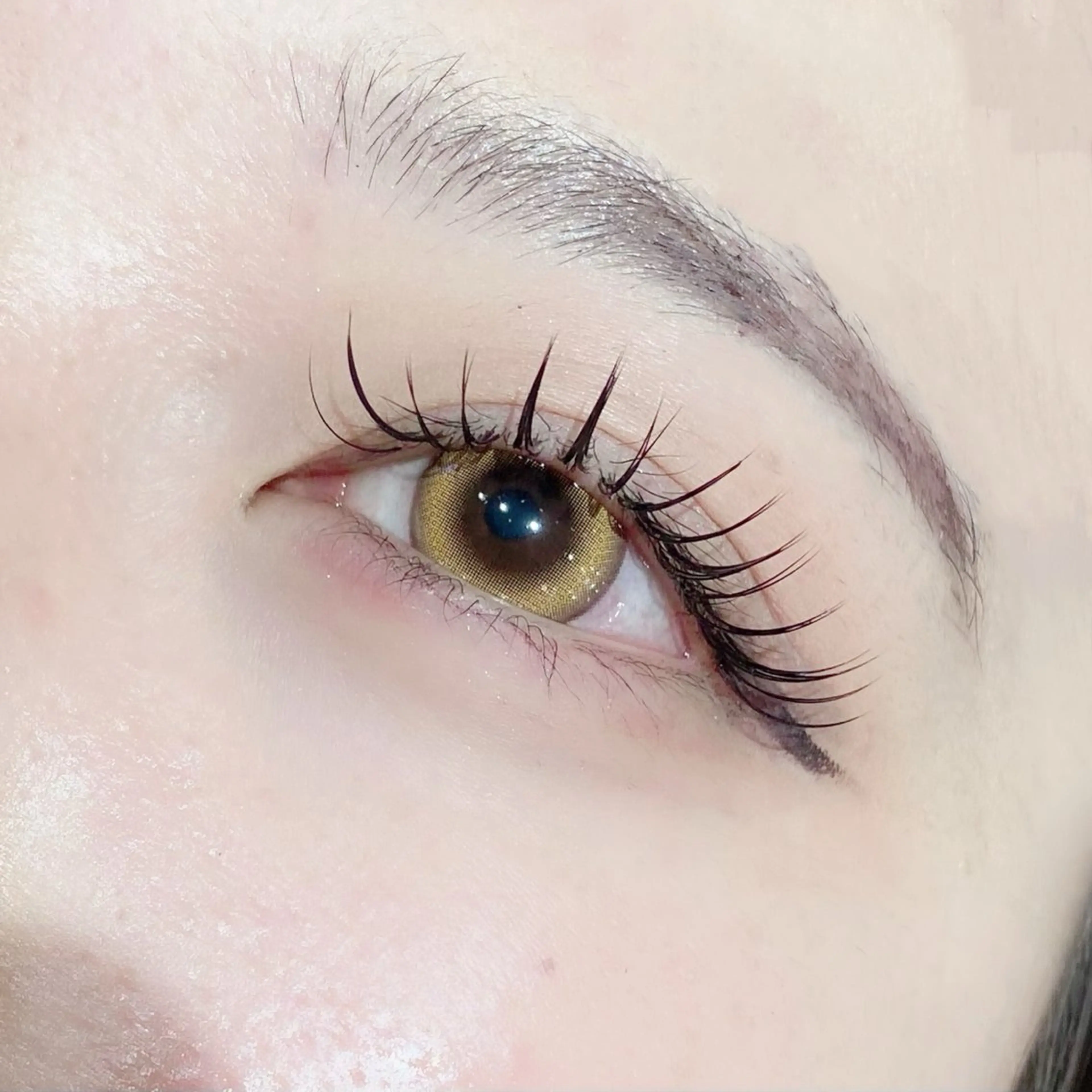 マツエク・マツパ gioia 根津のマツエク・マツパデザイン