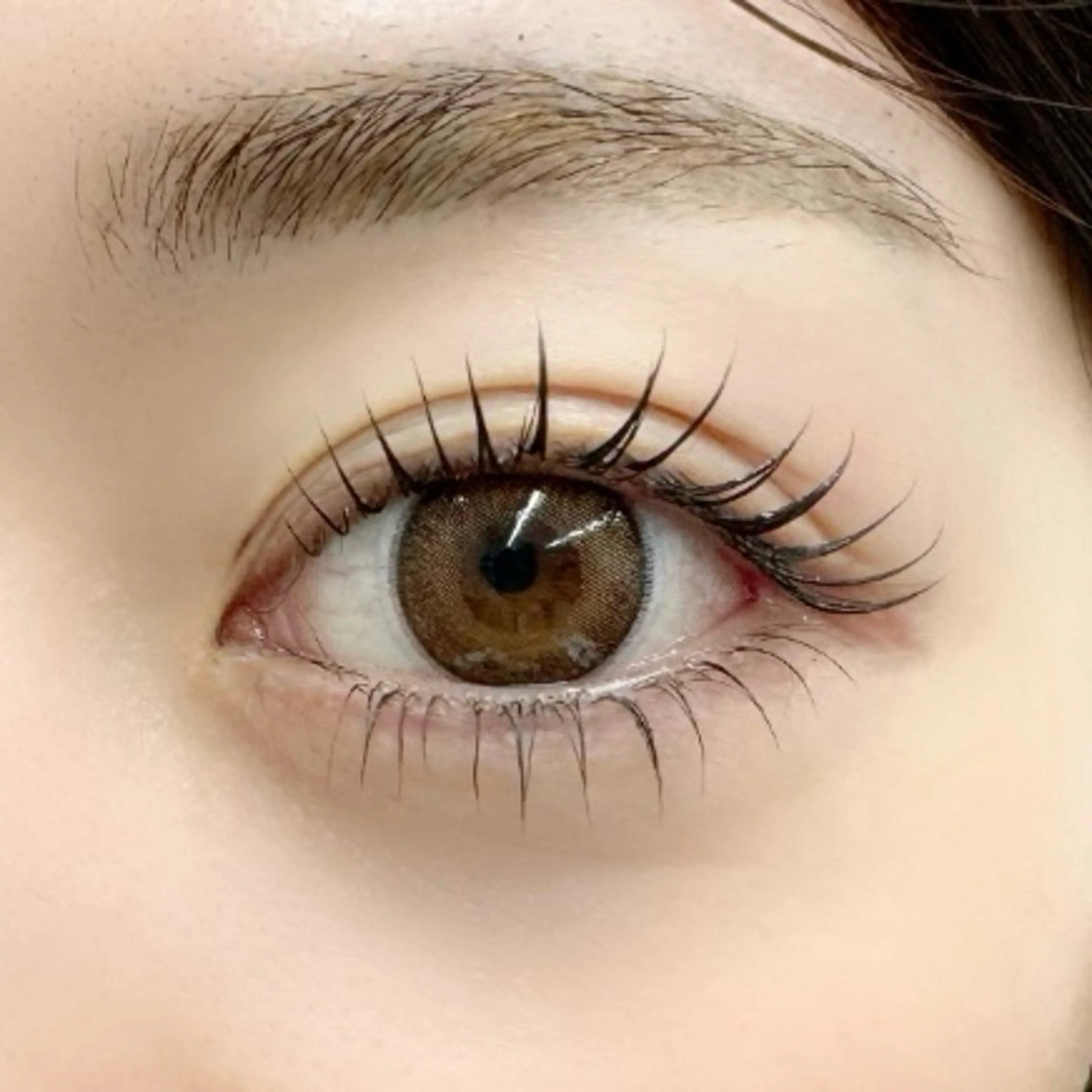 【ご新規様】次世代上下まつ毛パーマ〔コーティング仕上げ付き〕の写真