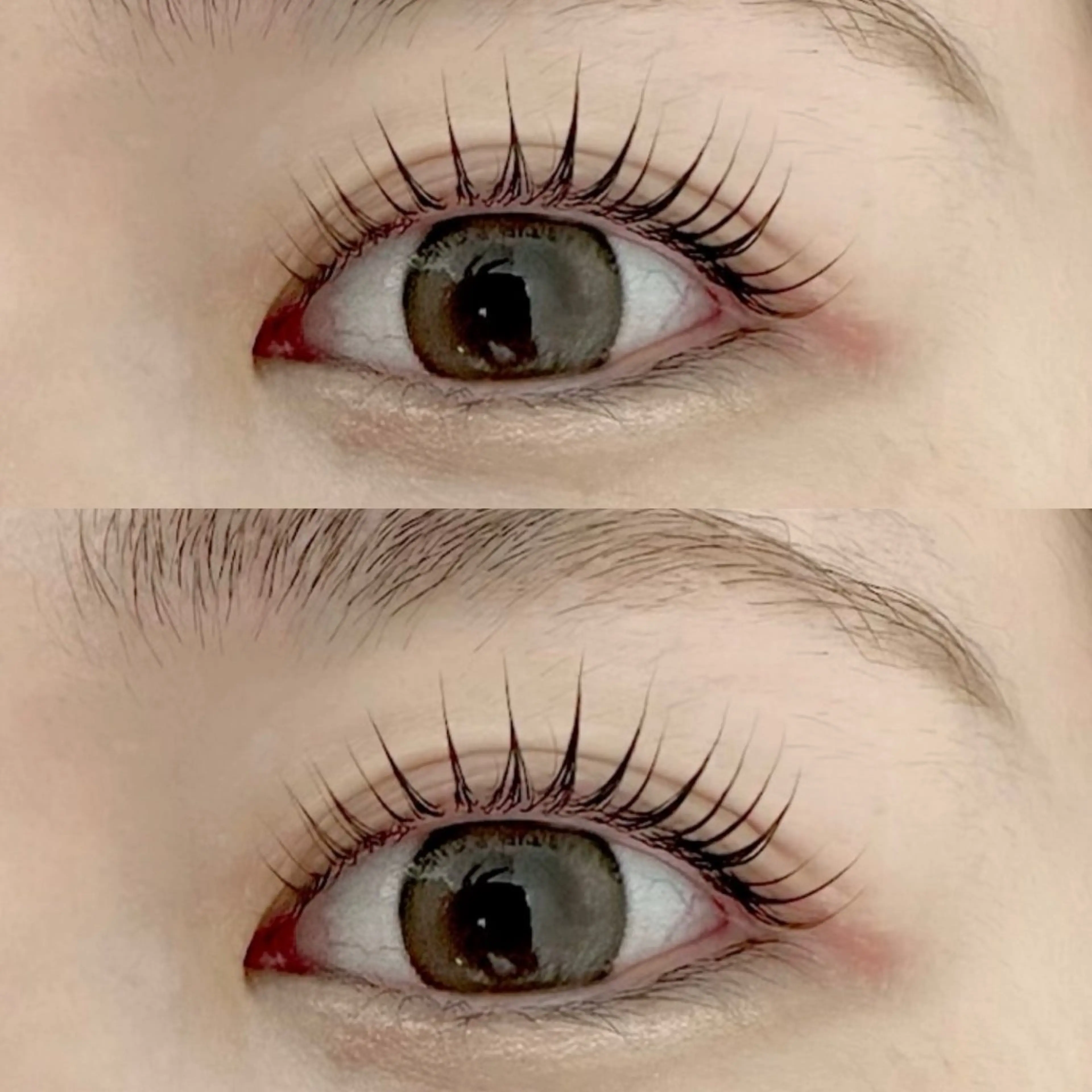 【モニター価格!!】ラッシュリフトコース♪ (エクステオフ代別+550円)の写真