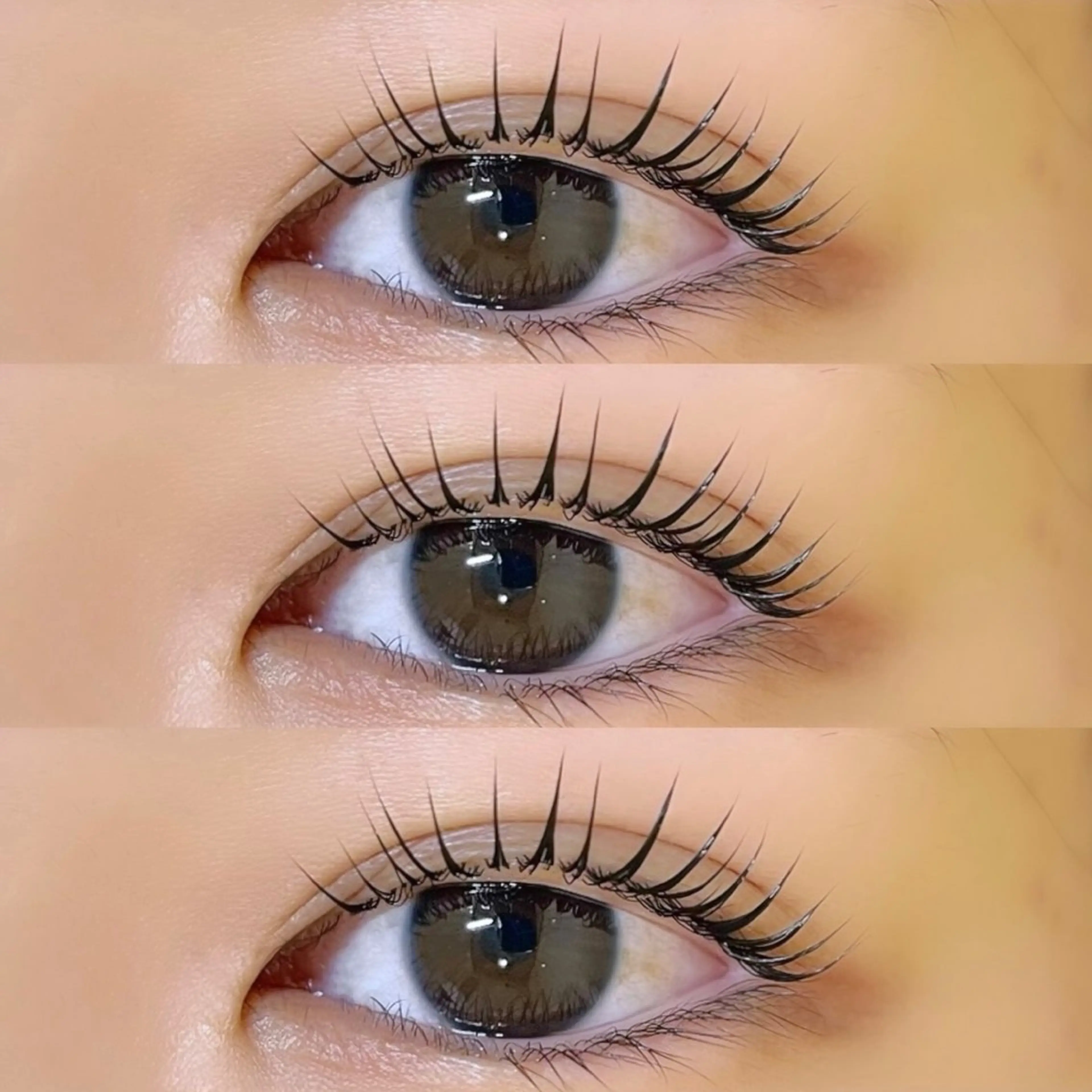 マツエク・マツパ マツパ 束感/LED/まつパ 🌼segawaのマツエク・マツパデザイン