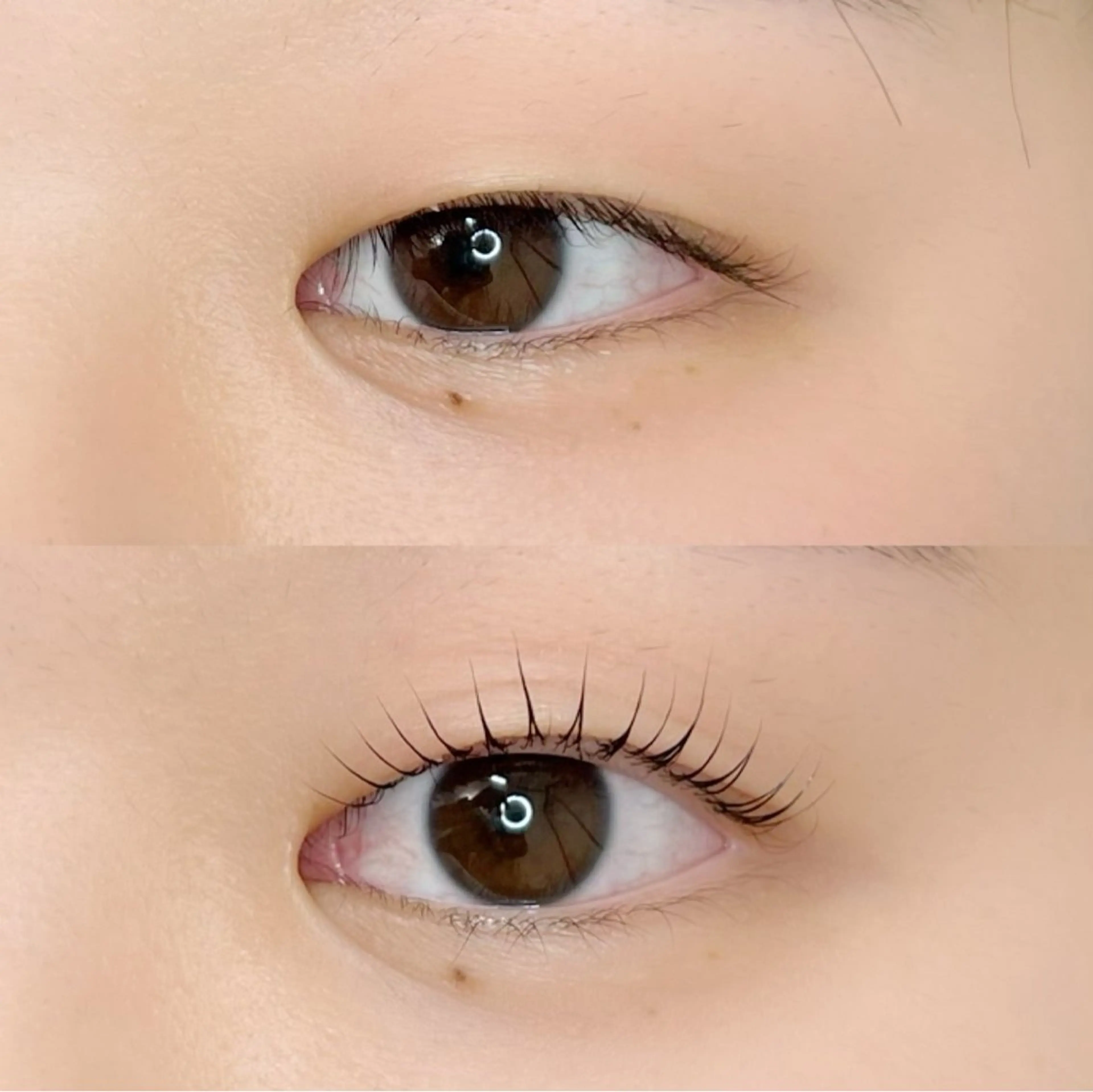 マツエク・マツパ マツパ 🌙eyelash kirari🌙のマツエク・マツパデザイン