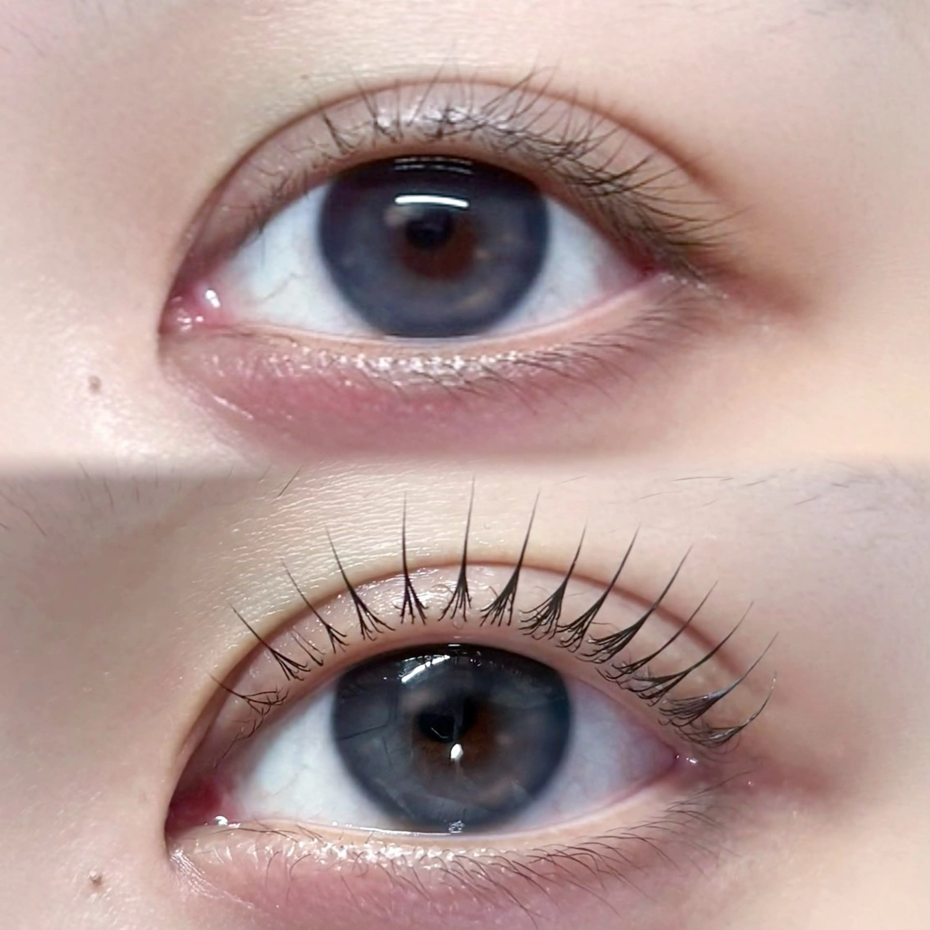 🇰🇷韓国式まつげパーマ🇰🇷【上のみ】束感コーティング付き⭐️の写真