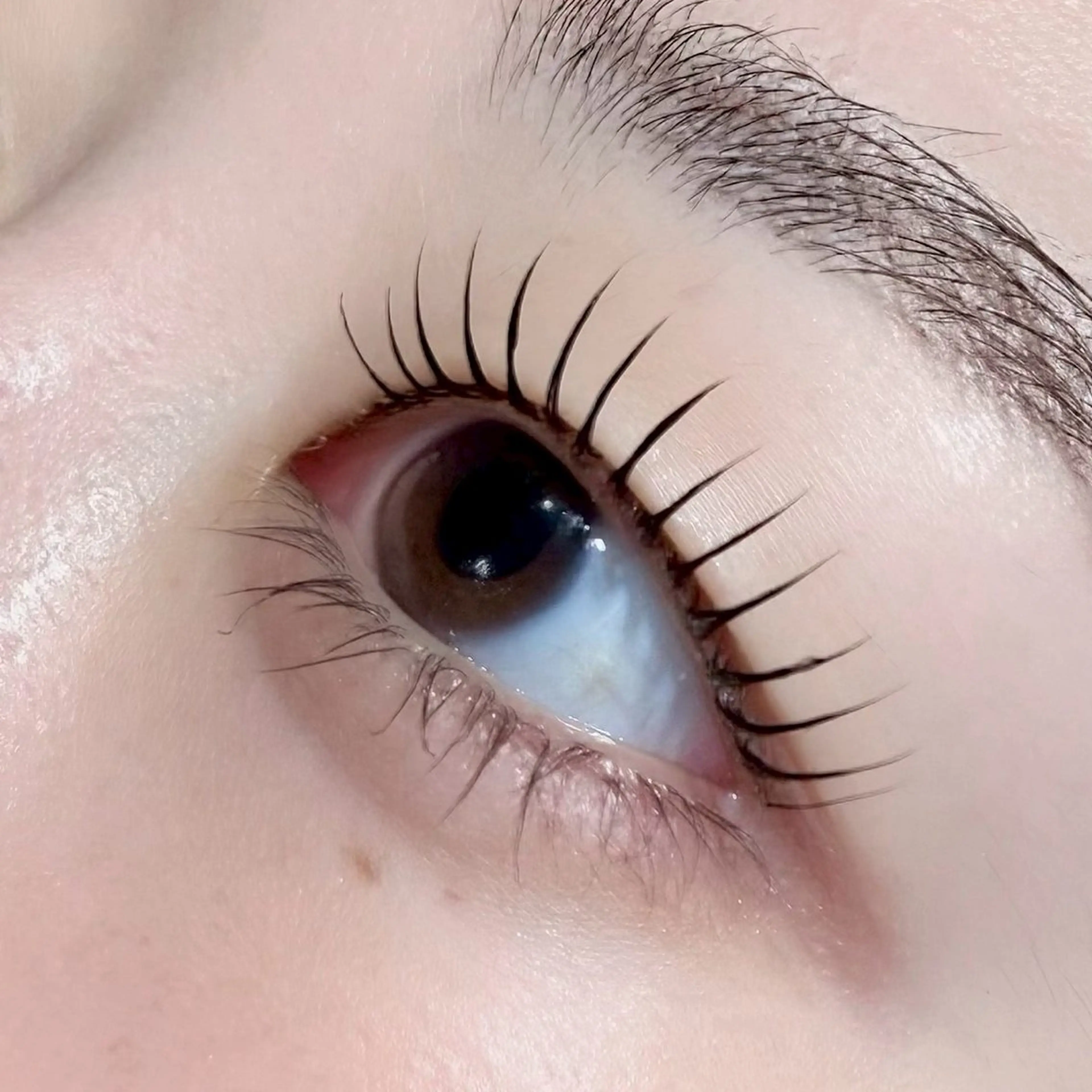 マツエク・マツパ LUNOA momo🎵のマツエク・マツパデザイン