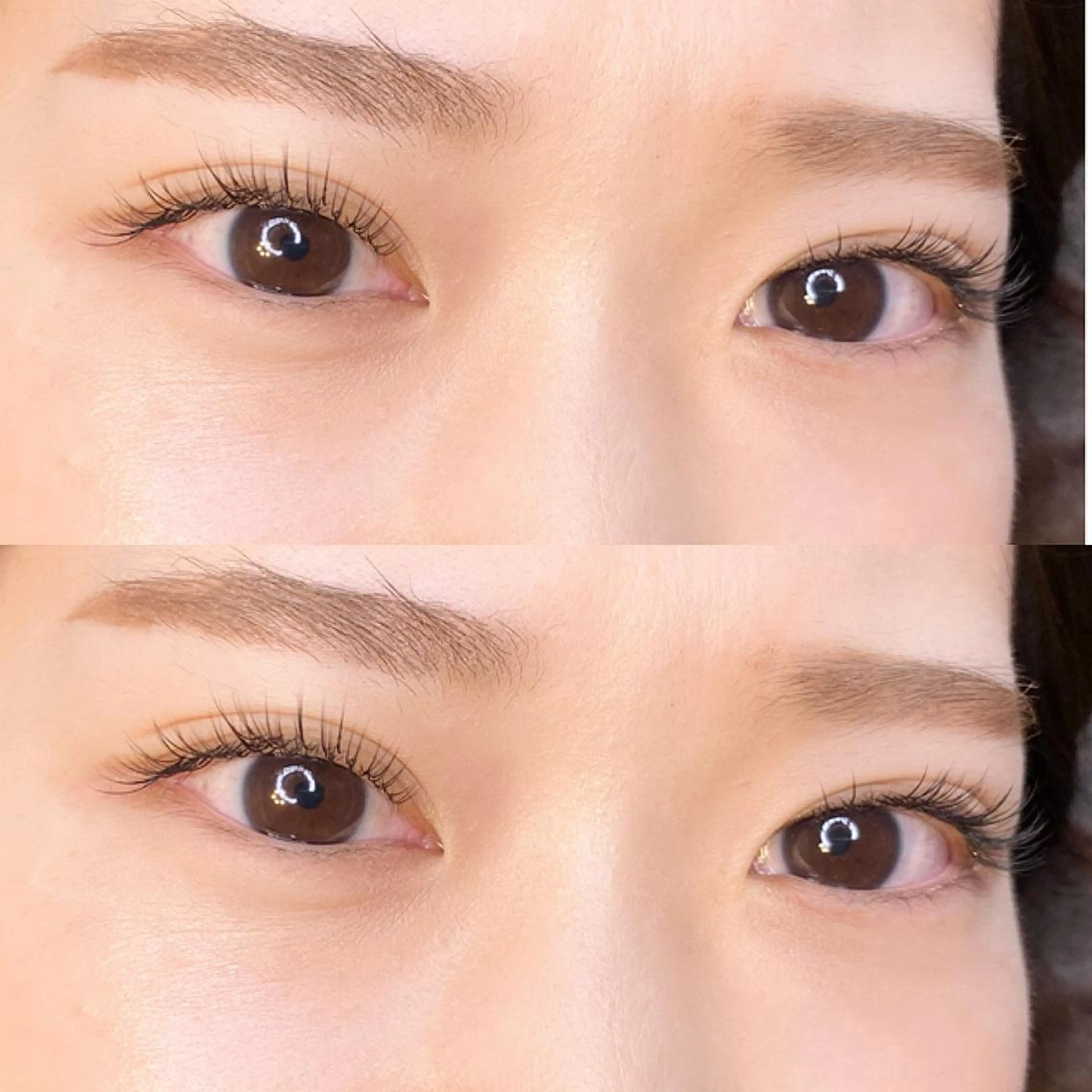 フラットラッシュ120本(オフ込)の写真