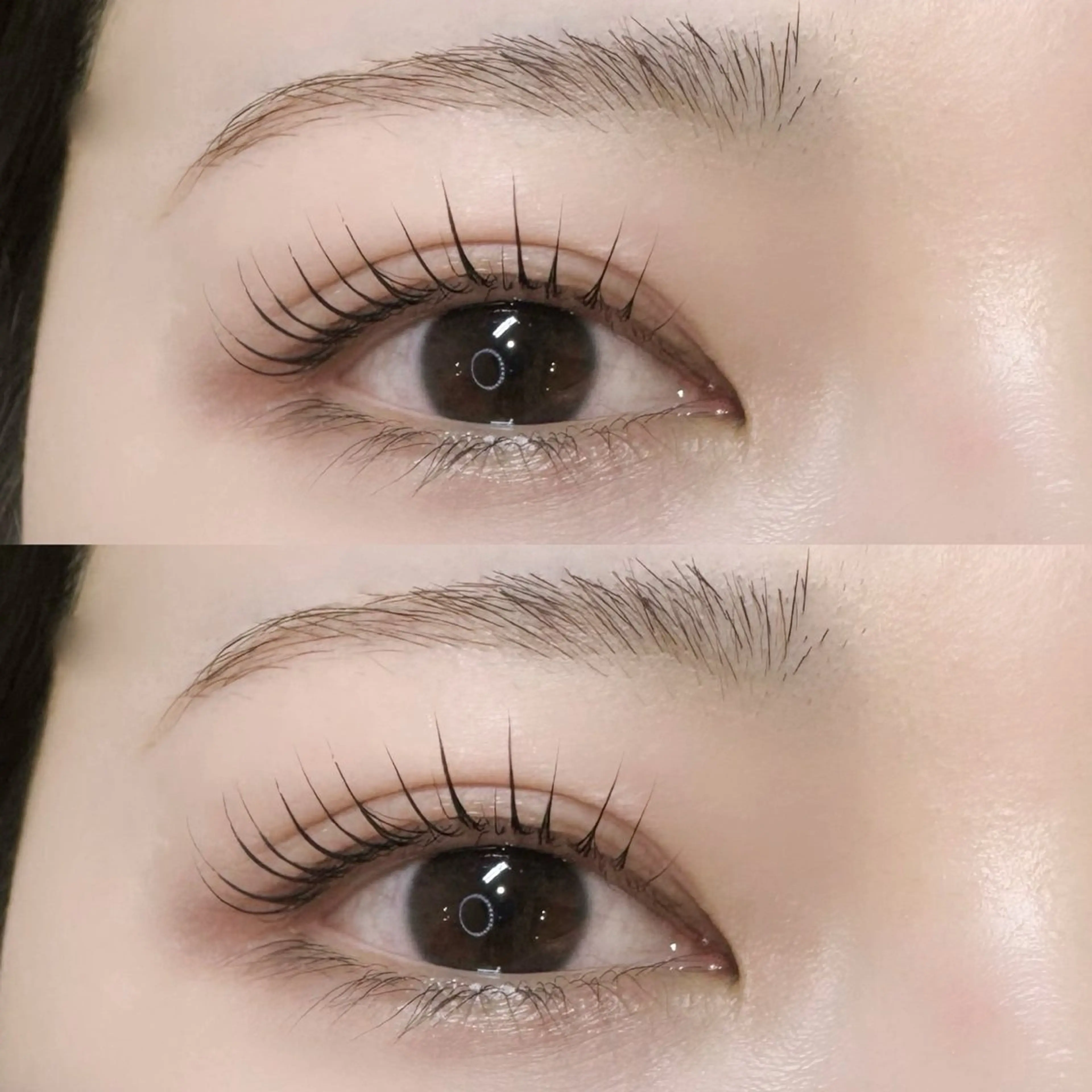 まつ毛パーマ ⚠️注意事項、補足説明をお読みいただいてからご予約ください！の写真
