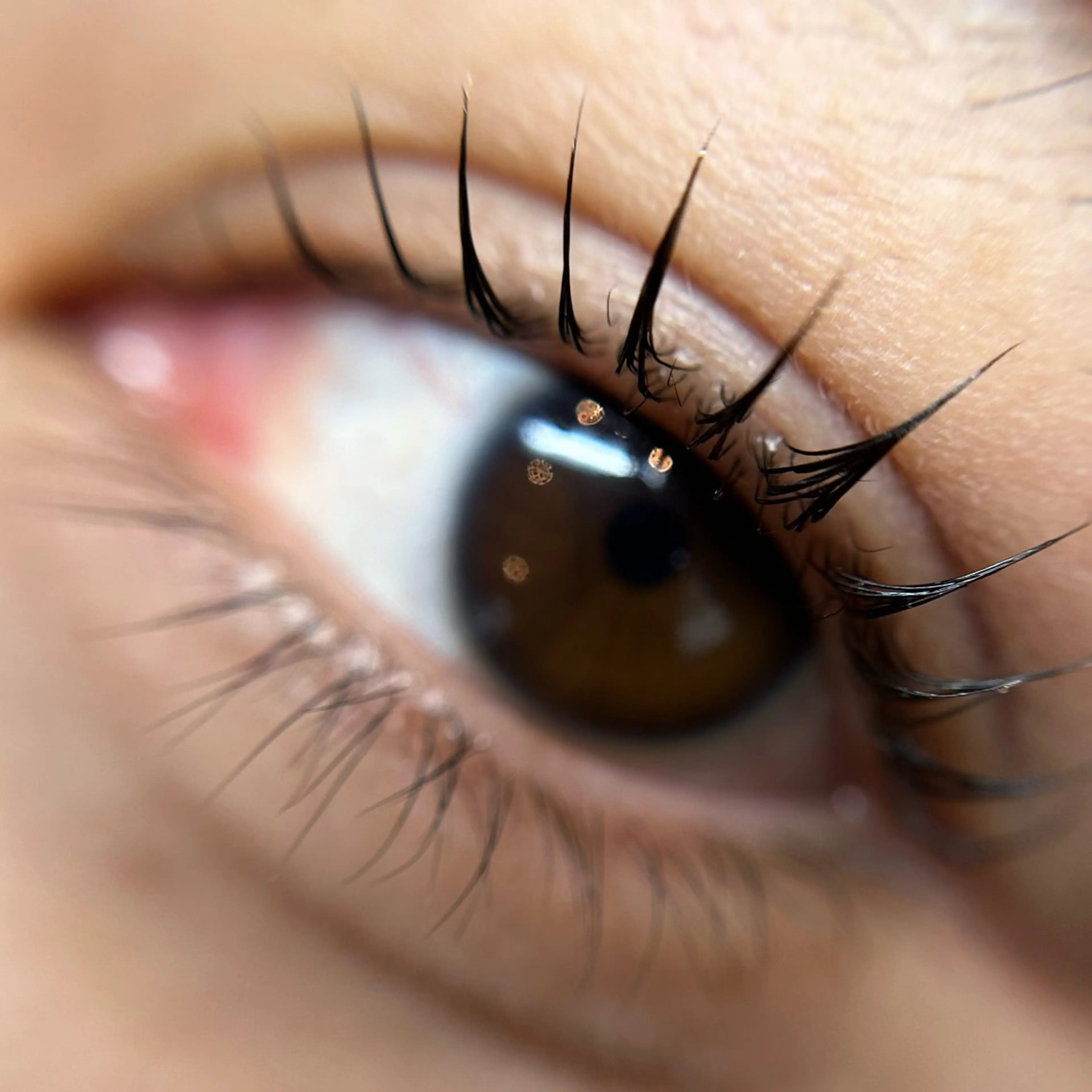 マツエク・マツパ komatsu eyelash恵比寿のマツエク・マツパデザイン