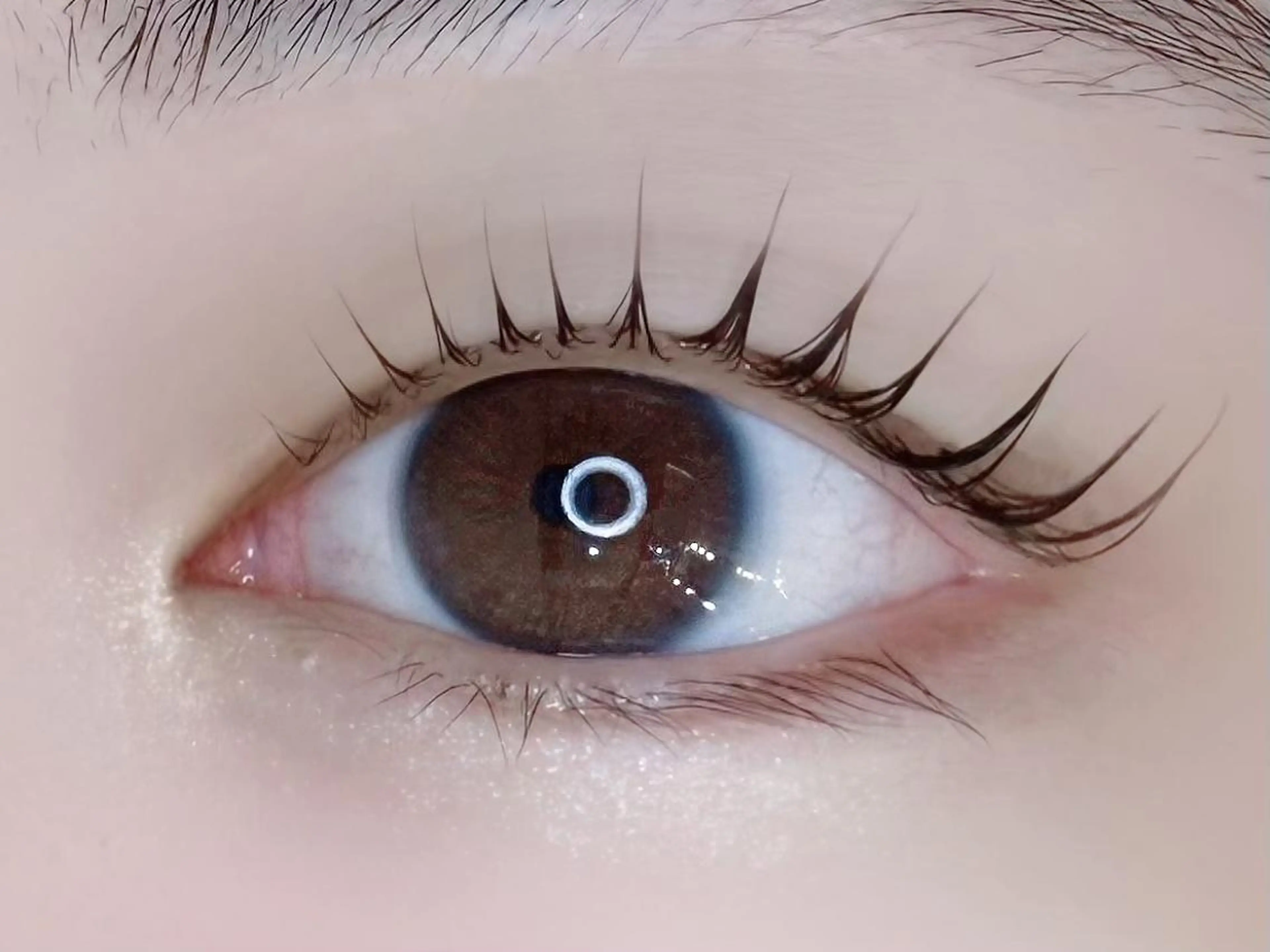 マツエク・マツパ 束感まつ毛 フラットラッシュ 韓国風マツエク まつげパーマ 下まつげエクステ マツパ 🌻マツエク/眉毛 yukimi⛄️🖤の眉毛・アイブロウイメージ