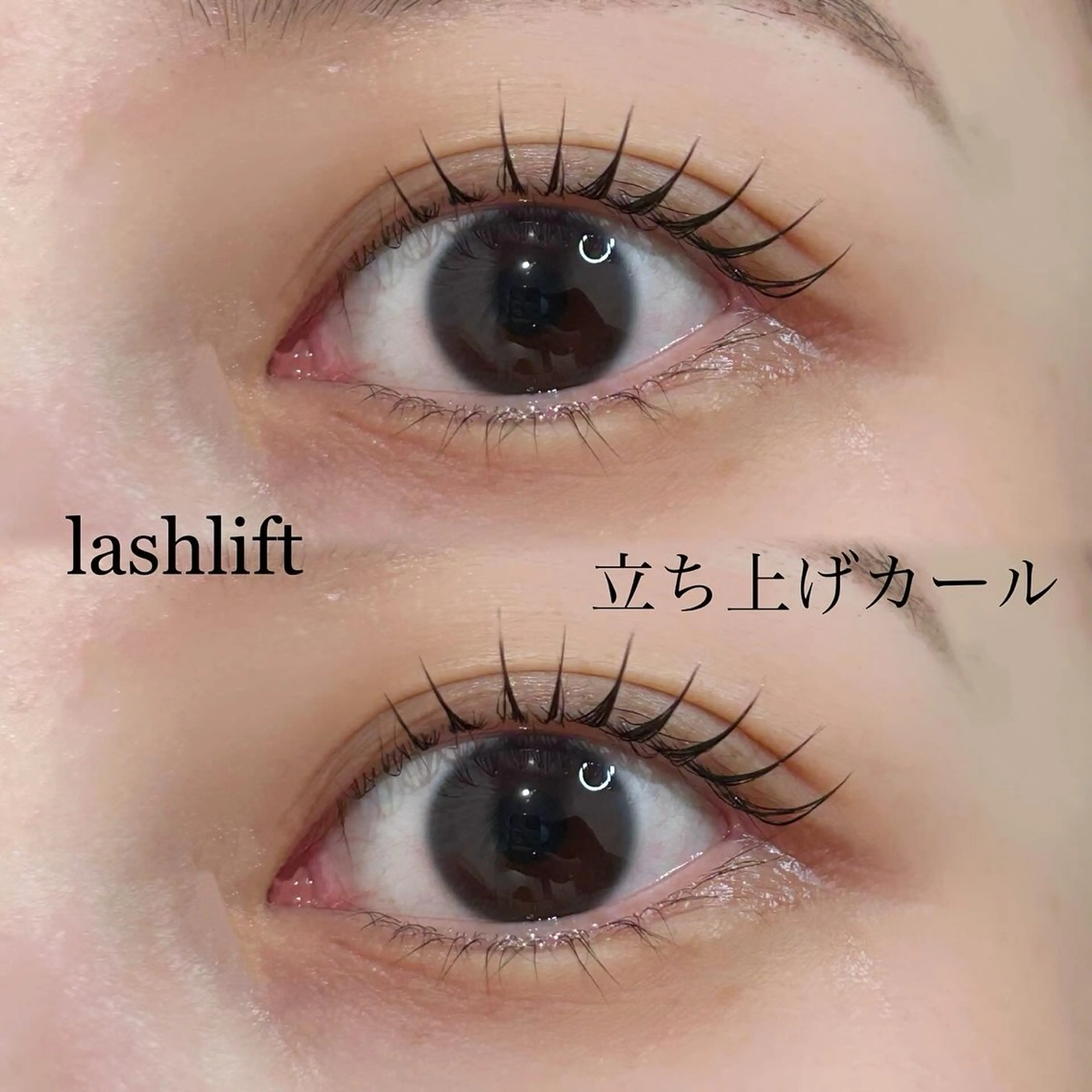 マツエク・マツパ マツパ chiri／似合わせ ×韓ドルまつ毛パーマのマツエク・マツパデザイン