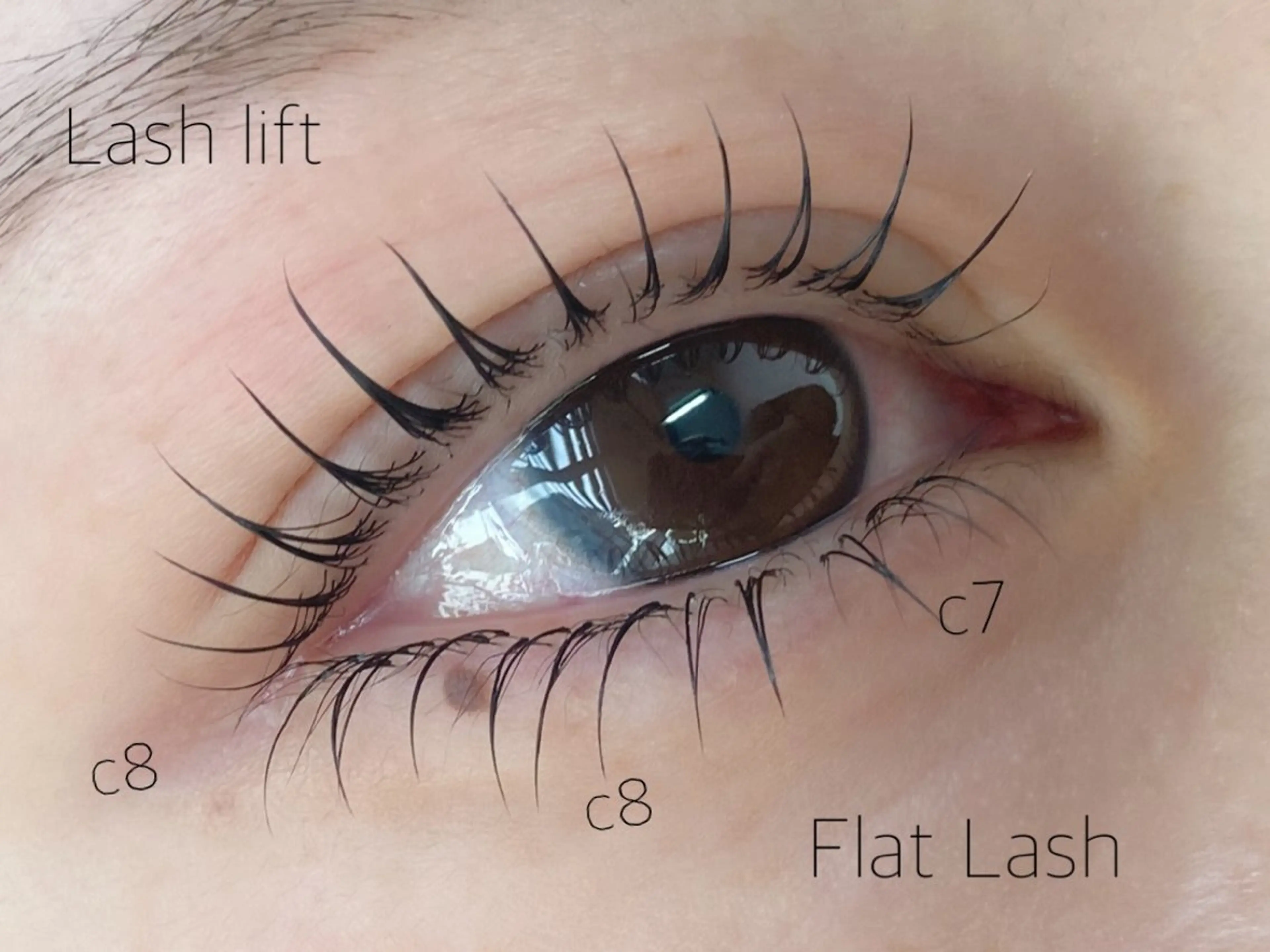 💖ミニモ学割限定💖ラッシュリフト✖️下まつ毛エクステ(フラットラッシュ)40本の写真