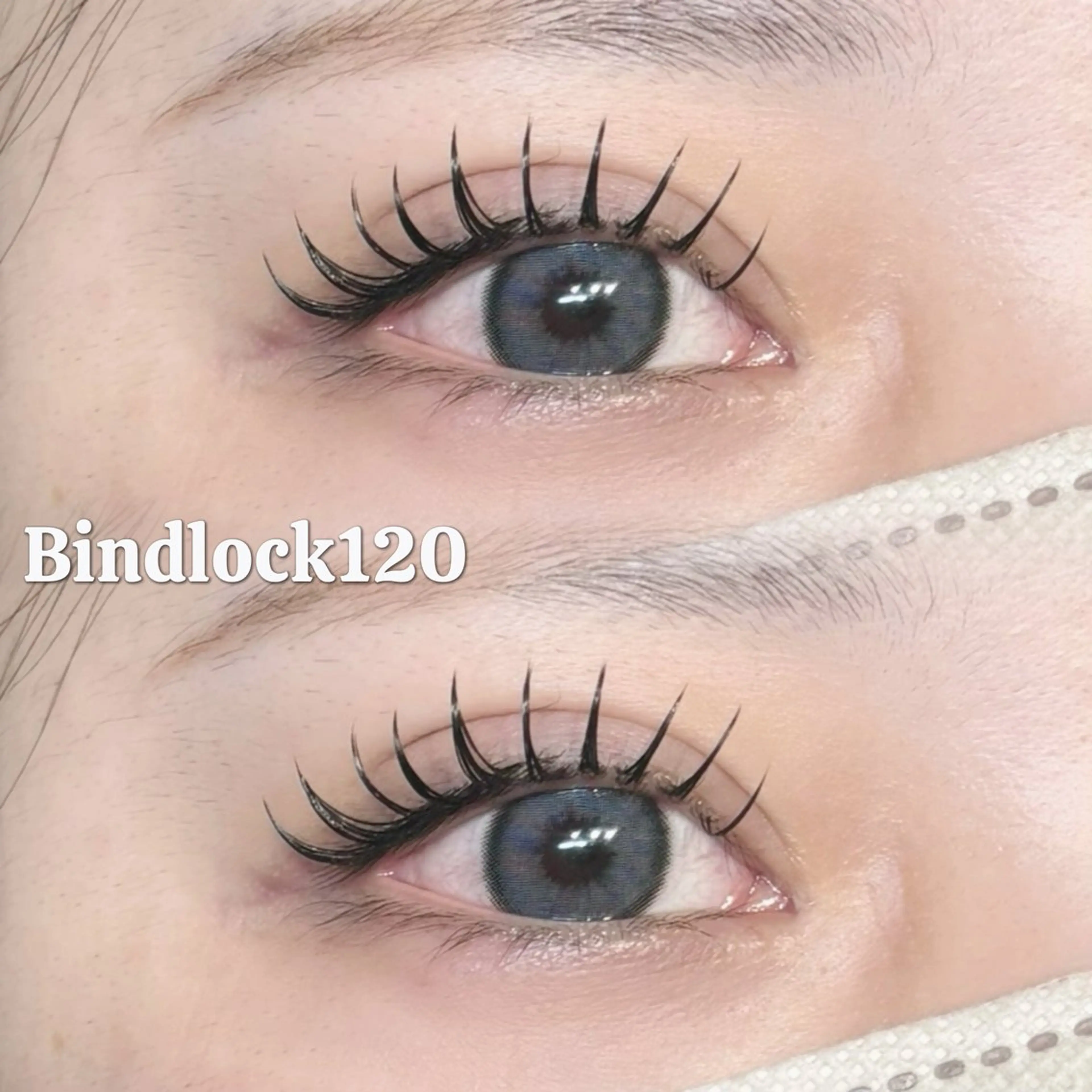 バインドロック120束の写真