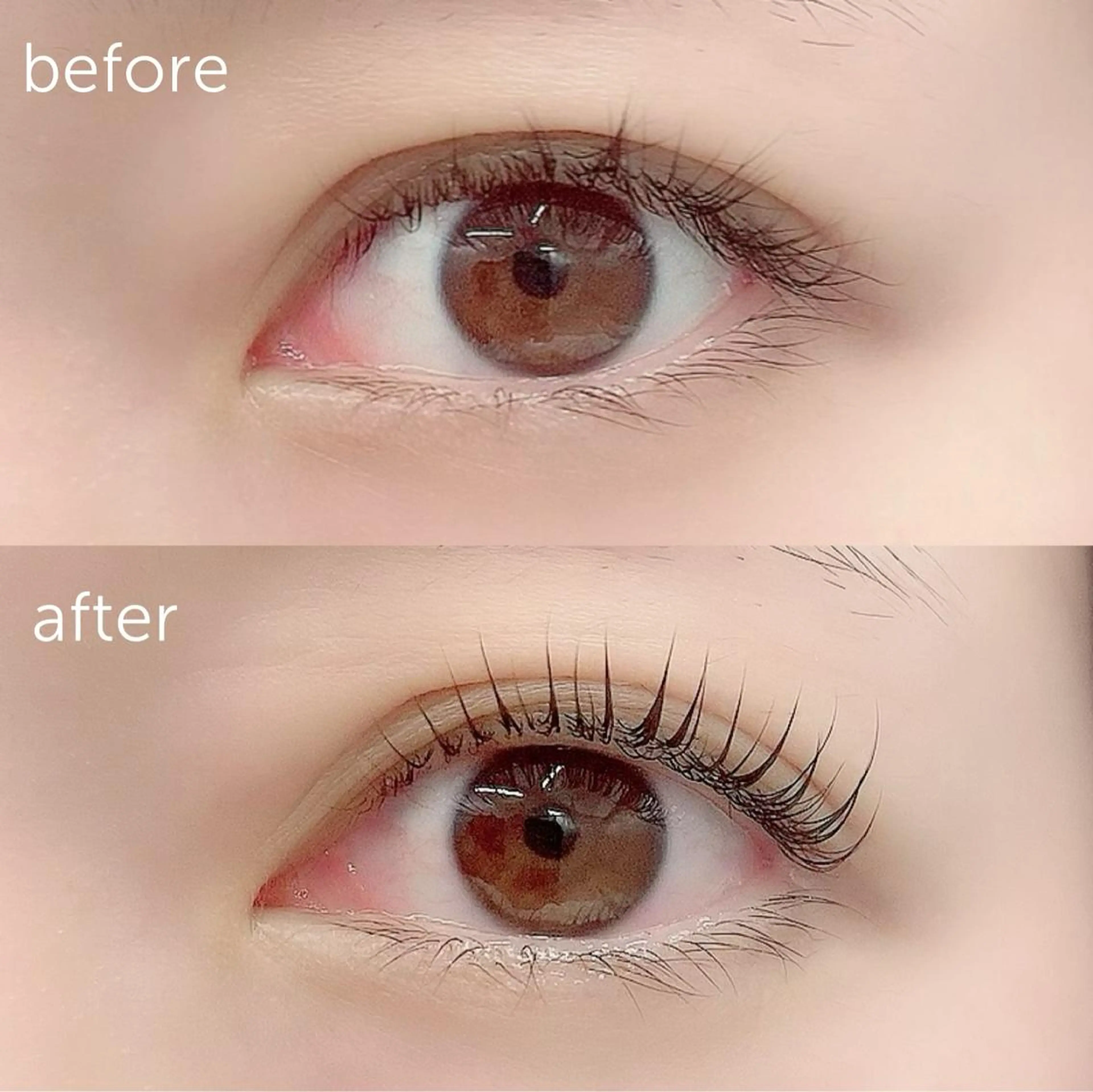 マツエク・マツパ パリジェンヌラッシュリフト 🤍アイリスト kana🤍のマツエク・マツパデザイン