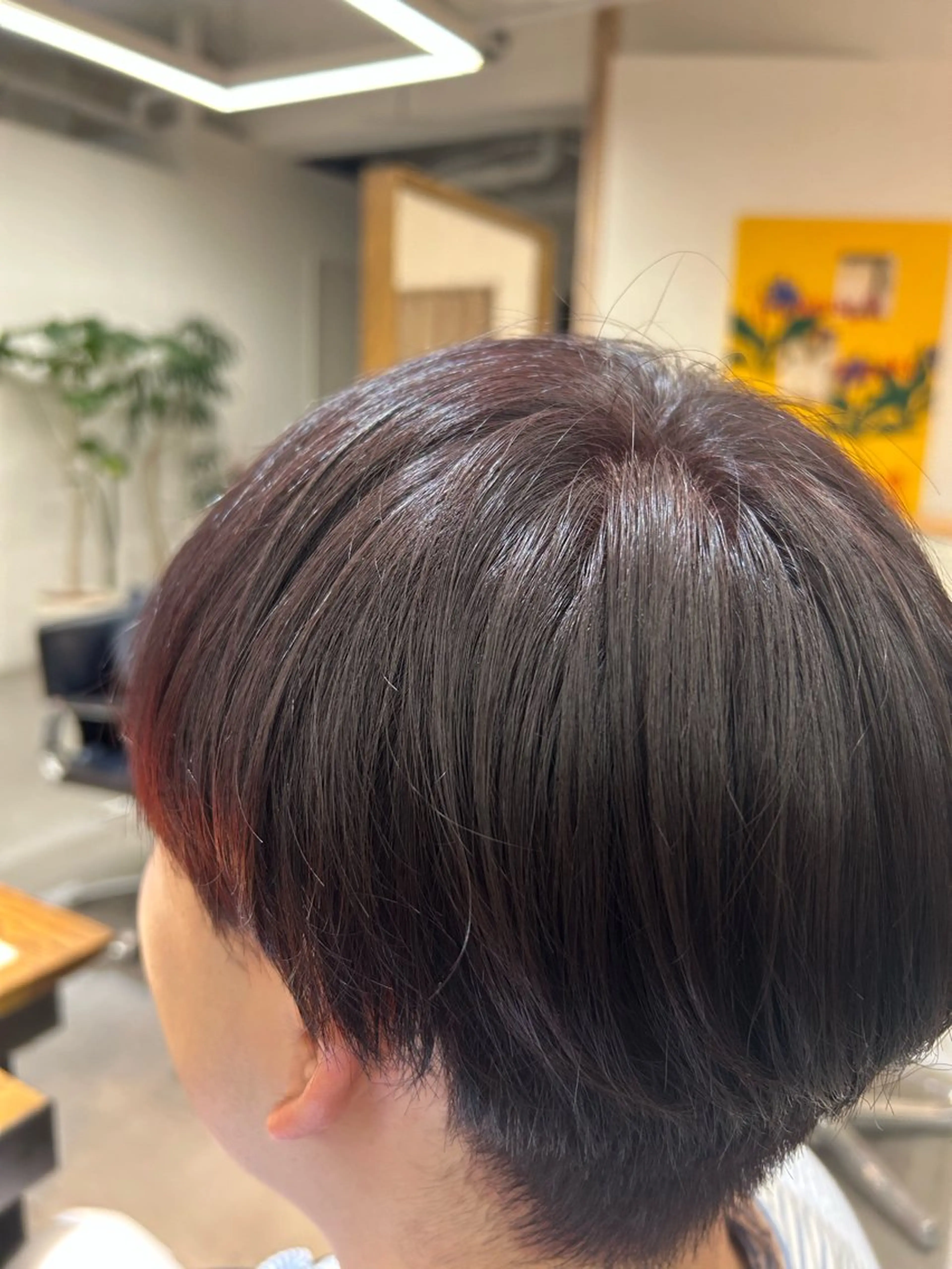 カラー ボルドーカラー ブラウンカラー レッドカラー conks所属・あゆか 🐶のヘアスタイル