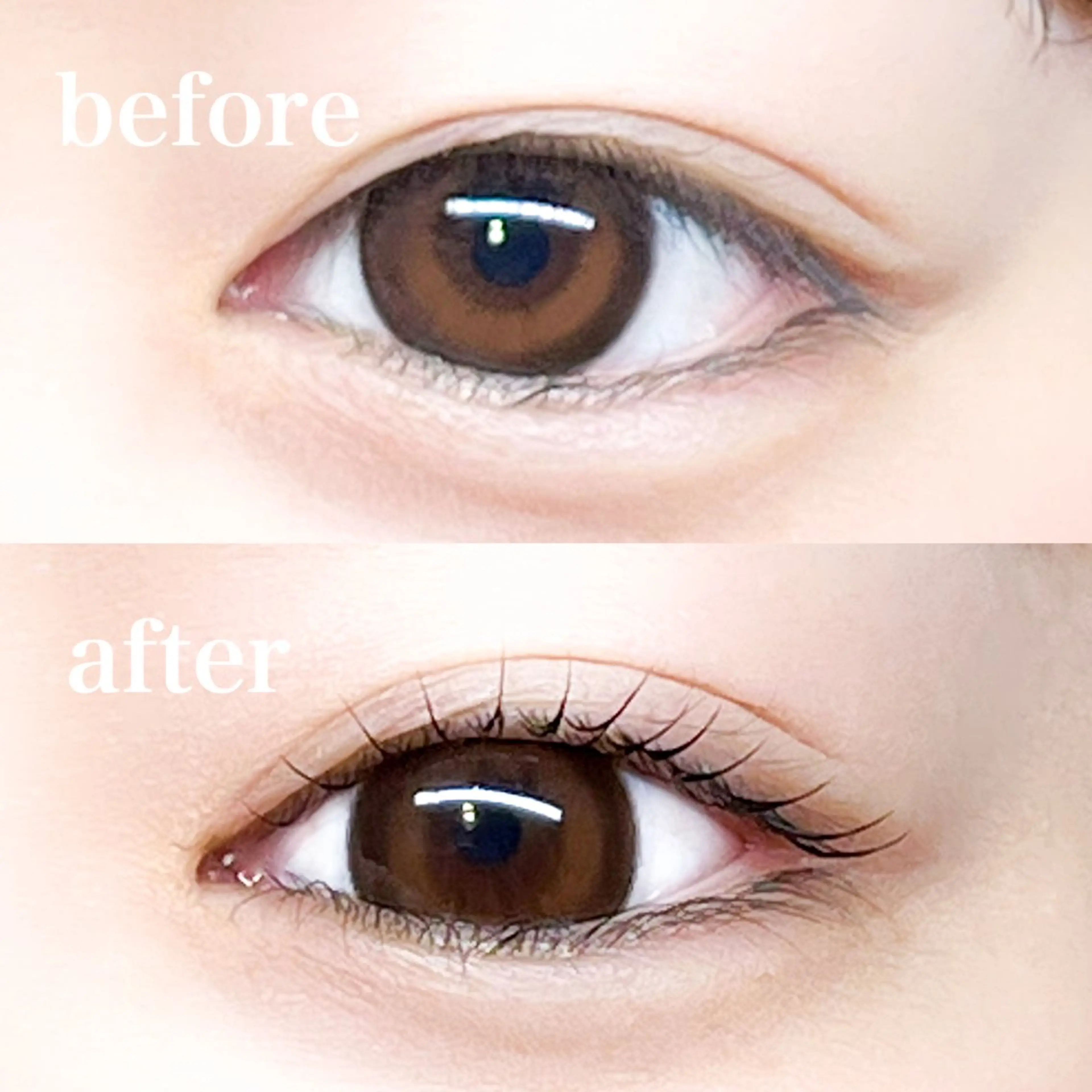 マツエク・マツパ 仙台/束感まつげ💐 🎀Mizukiの眉毛・アイブロウイメージ